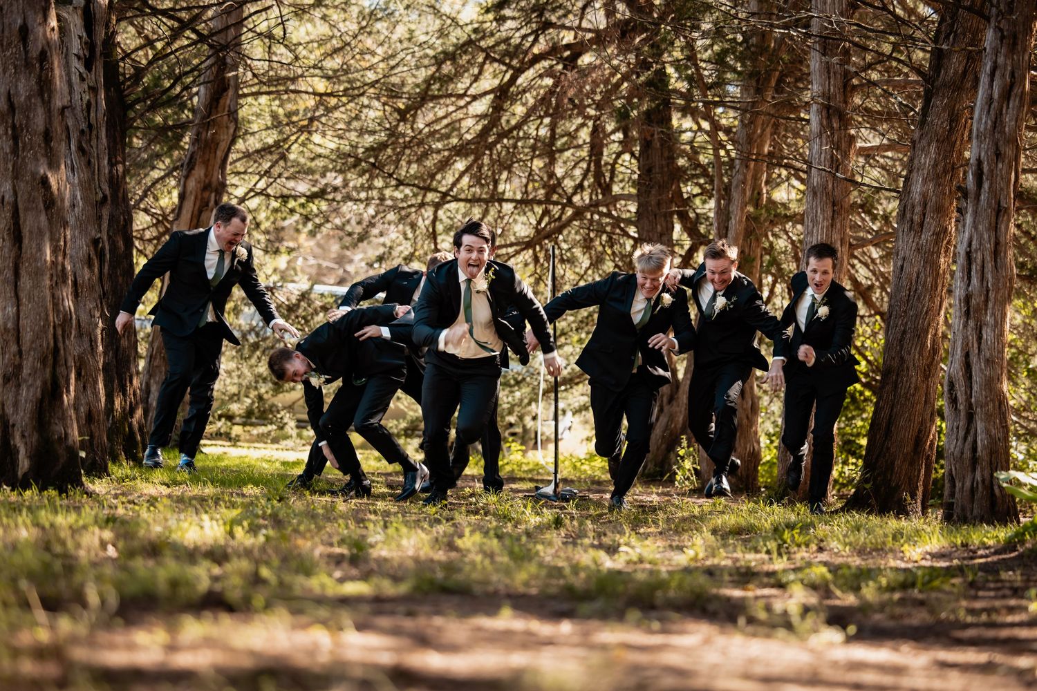 Groomsmen in black suits playfully running through a sunlit forest during wedding celebration.