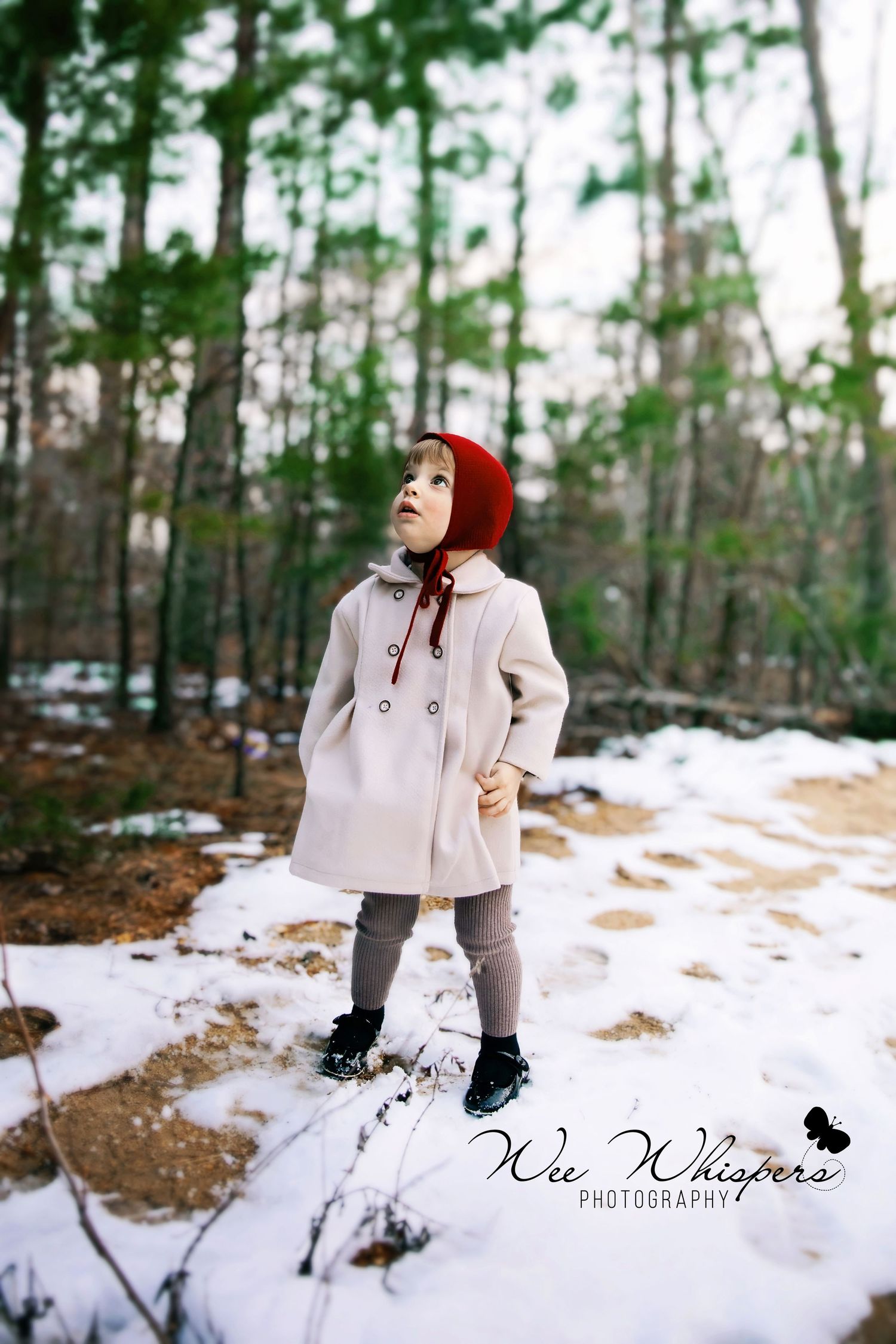 A winter photoshoot featuring a person in a beige sweater sitting in snowy forest surroundings.