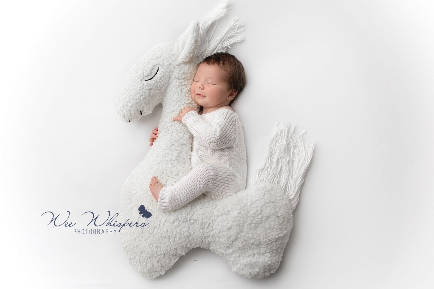 Northern New Jersey photographer, NJ newborn photographer, best newborn portrait studio near me, baby portrait studio near me New Jersey