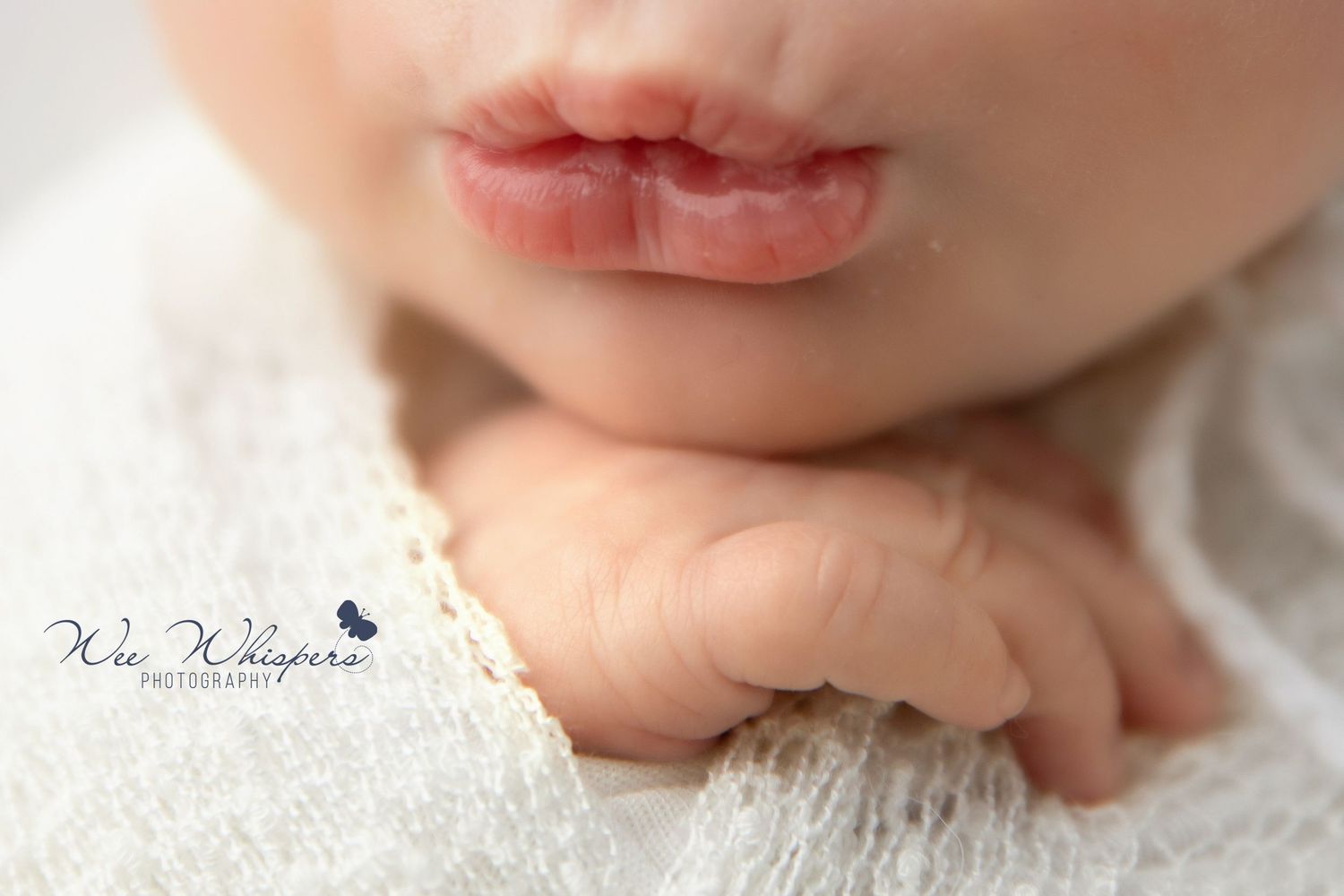 best NJ newborn photographer, newborn portrait studio New Jersey, Lakewood NJ newborn photography, book newborn session in New Jersey