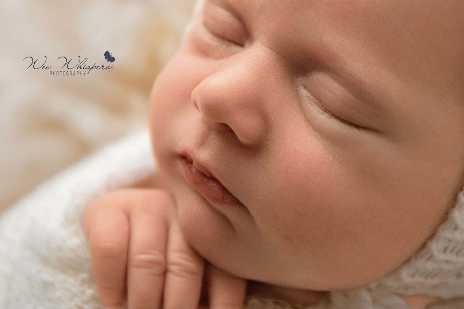 best NJ newborn photographer, newborn portrait studio New Jersey, Lakewood NJ newborn photography, book newborn session in New Jersey