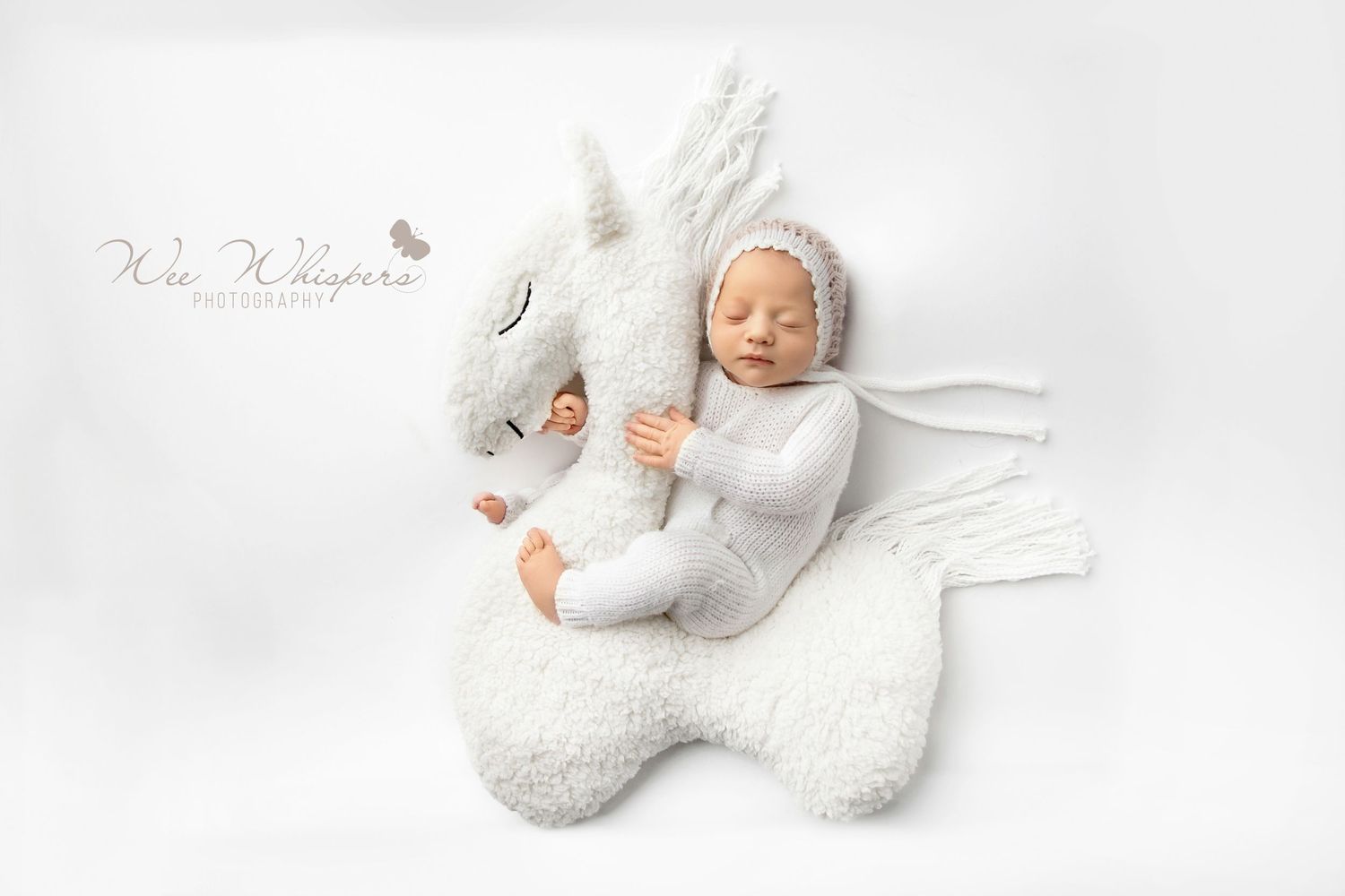 best NJ newborn portraits, newborn photographer near me, New Jersey portrait studio, newborn photography packages New Jersey