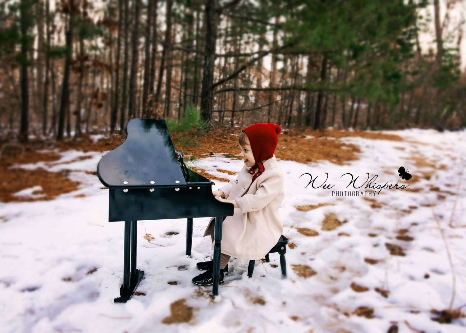 A series of snowy winter scenes in a forest with footprints in the snow and rustic wooden benches.