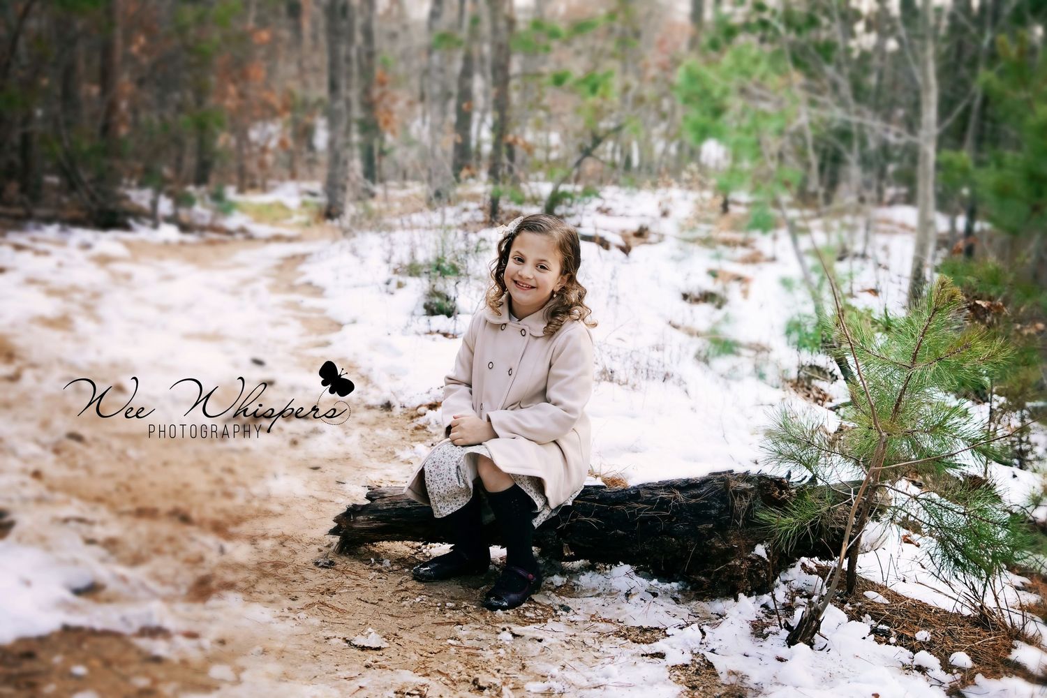 Multiple views of a winter photography session in a snow-covered wooded area.