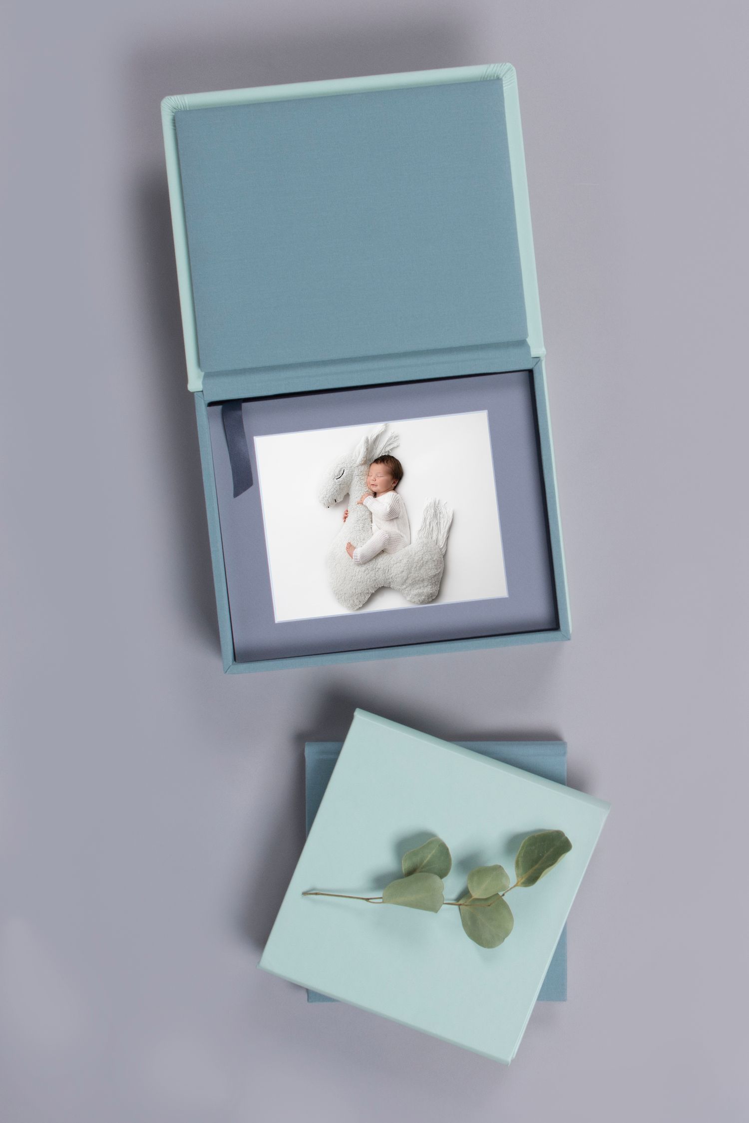 New Jersey heirloom albums, luxury photographer near me, best photographer New Jersey, best NJ portrait studio