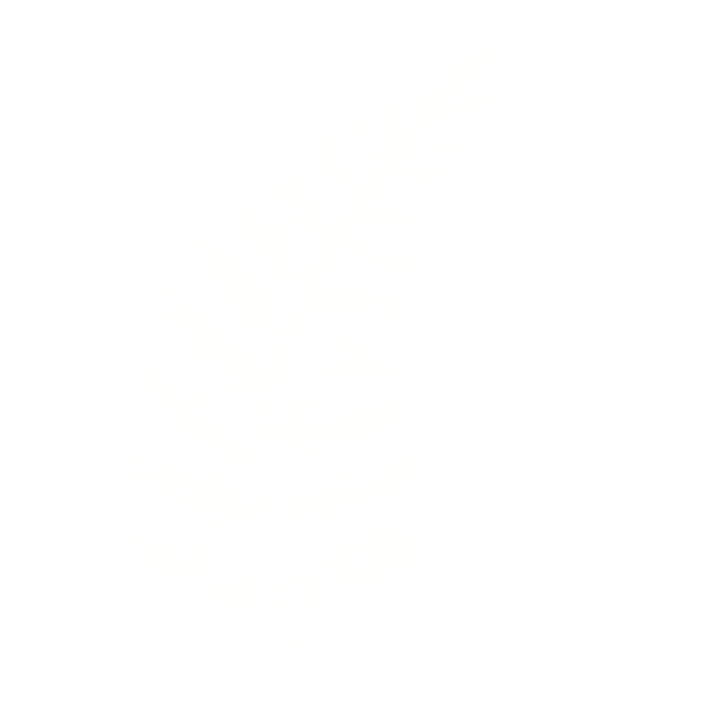 White delicate fern leaf illustration with detailed fronds on black background.