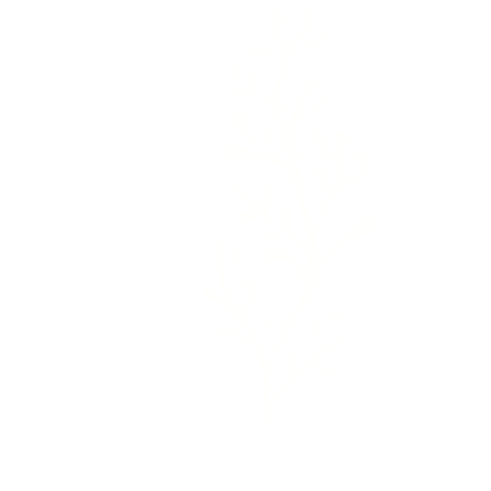 Elegant white botanical sprig with delicate branching pattern on black background.