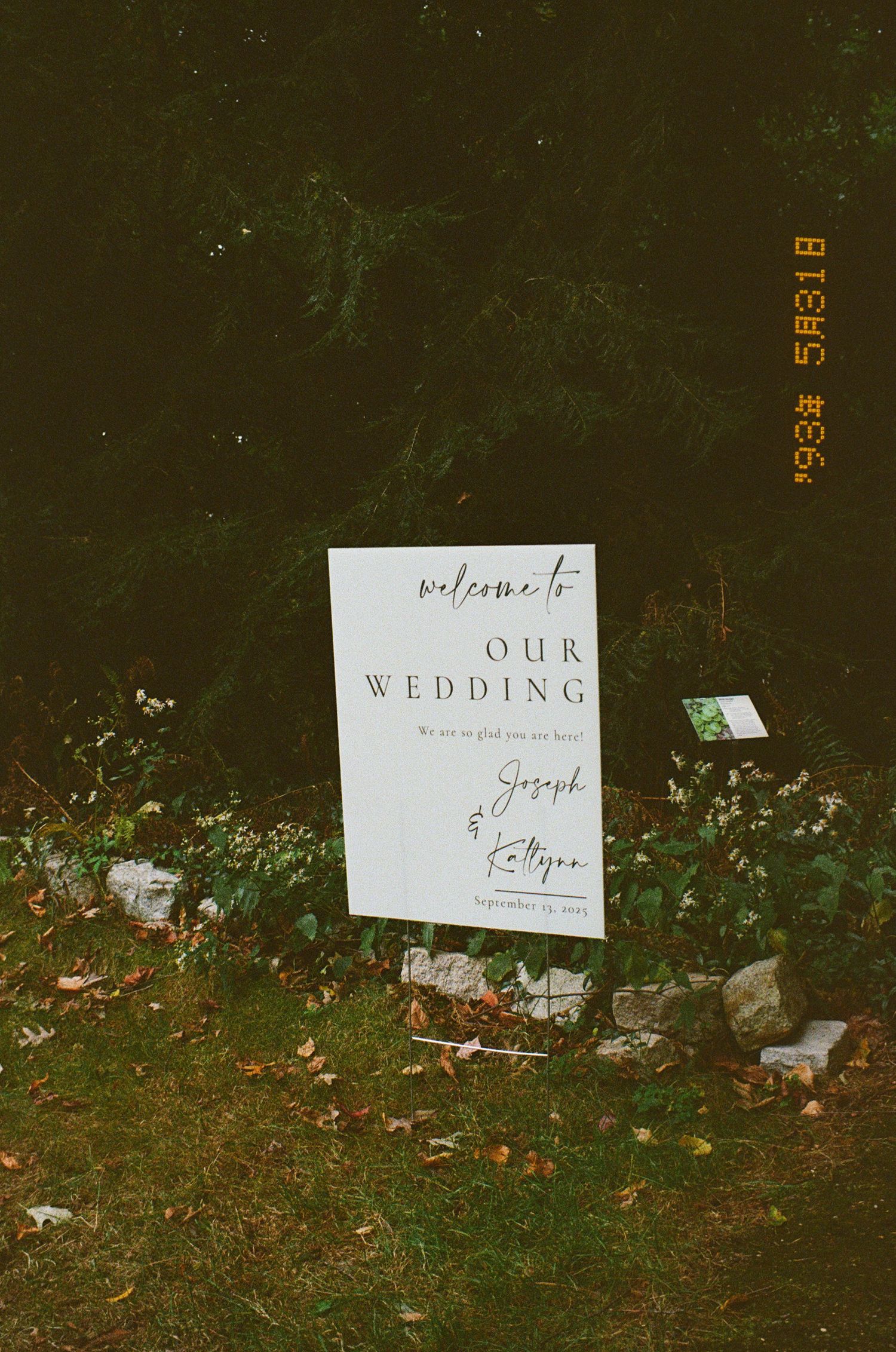 Three white wedding signs with elegant text scattered on dark grass in a garden setting.