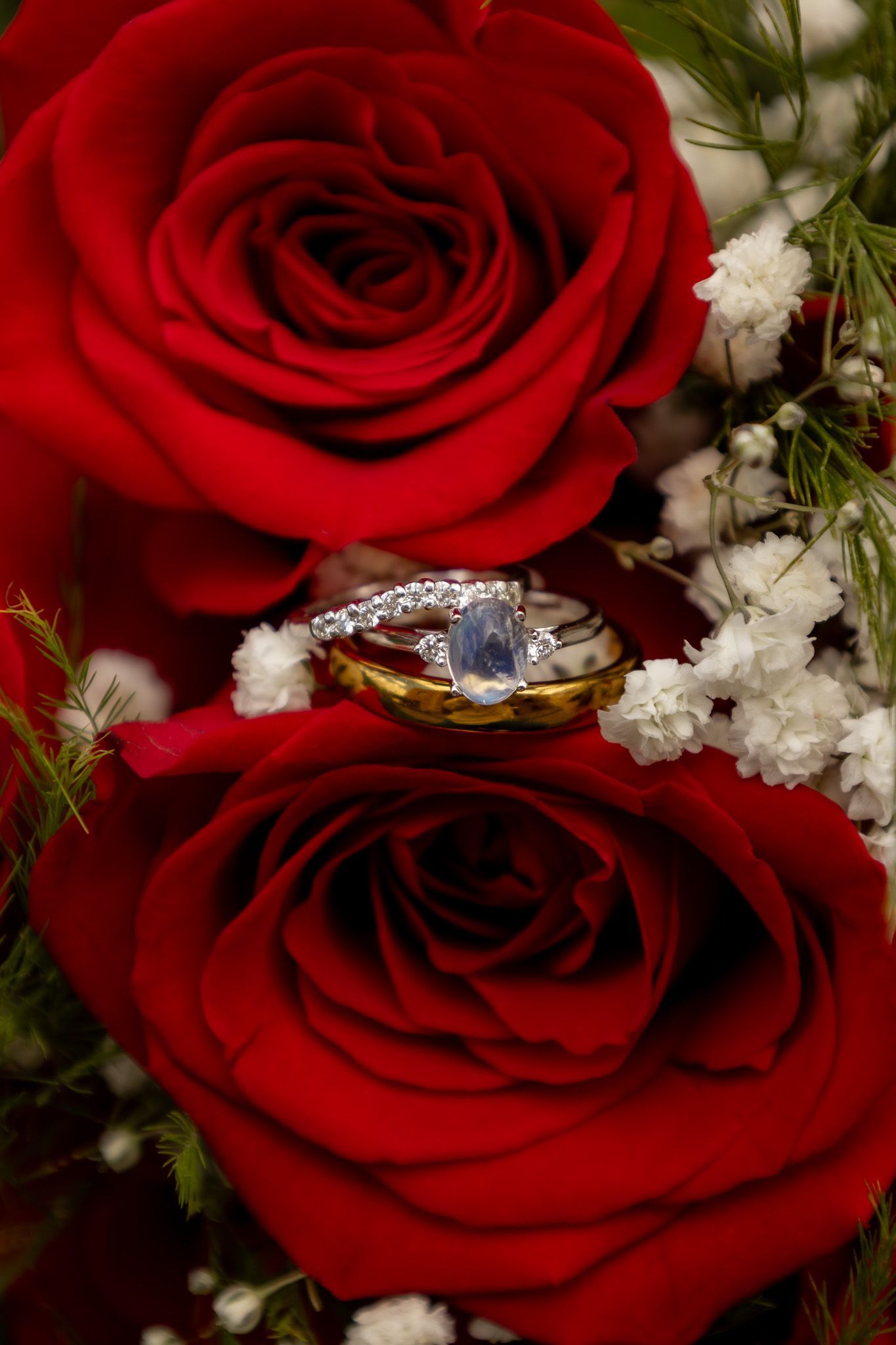 Diamond engagement ring nestled between two red roses with baby's breath flowers in romantic setting.