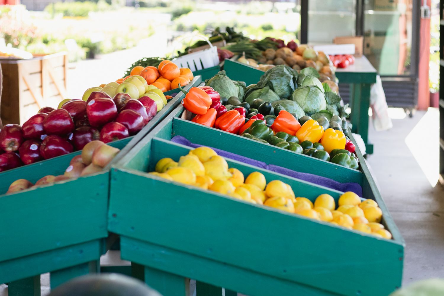 Small town market garden in Florence, SC South Carolina photographer. Small business branding photography. Produce farmers market spring