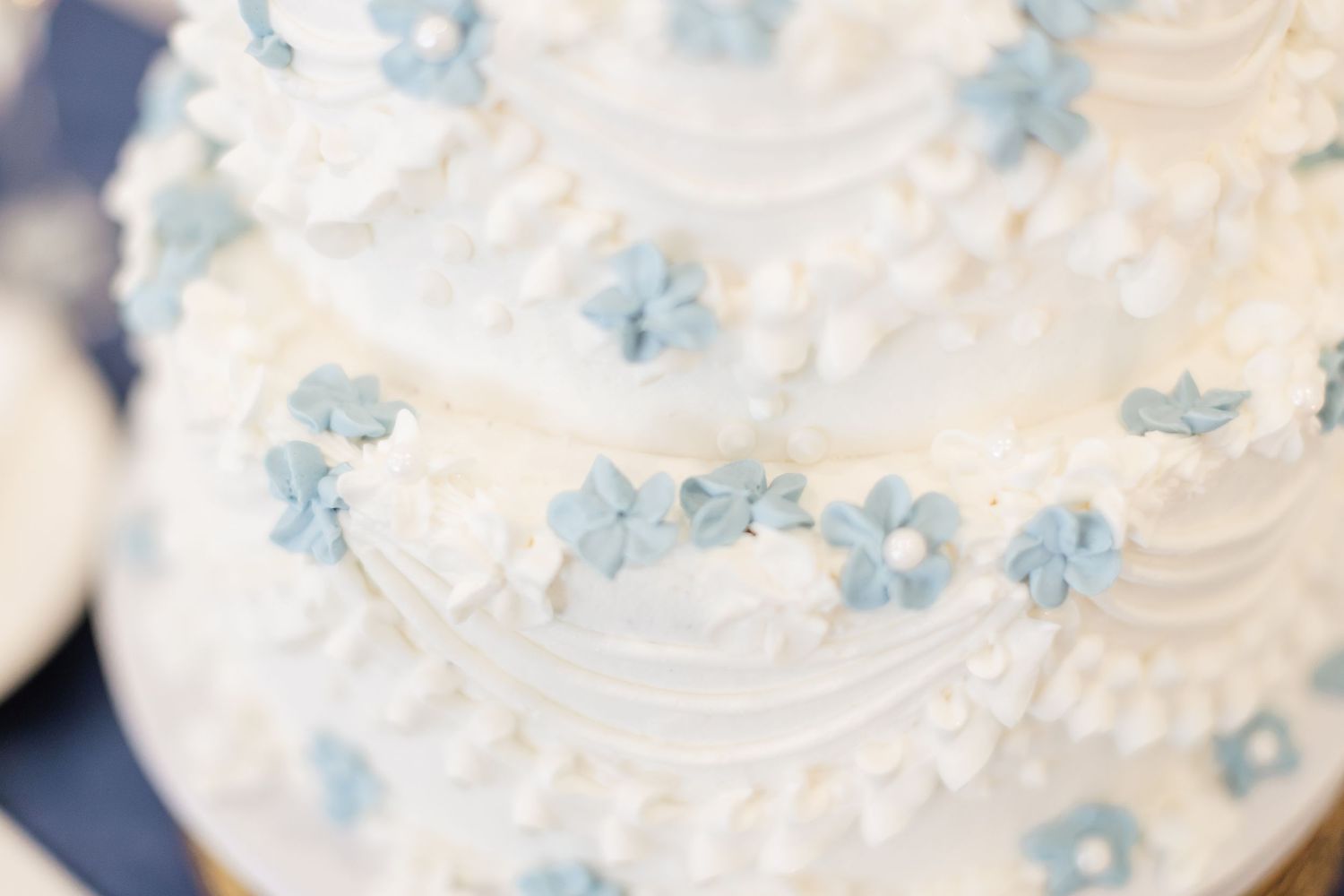 Katie Strzelec Photography Wedding Whitmoor Country Club, St. Charles, MO
