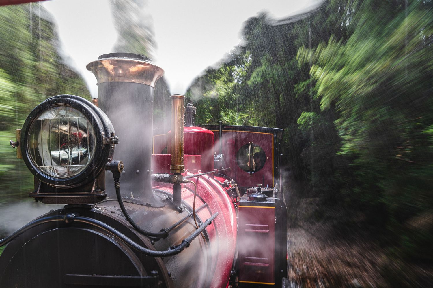 west coast Wilderness Railway Experience