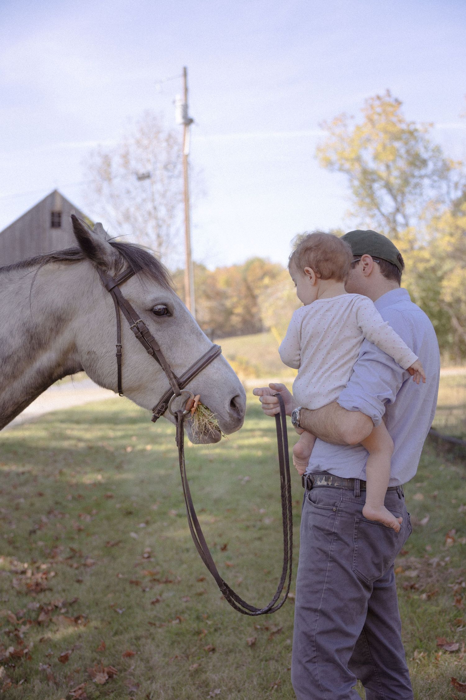 A series of three photos showing a gentle interaction between a white horse and people in a grassy field at sunset.