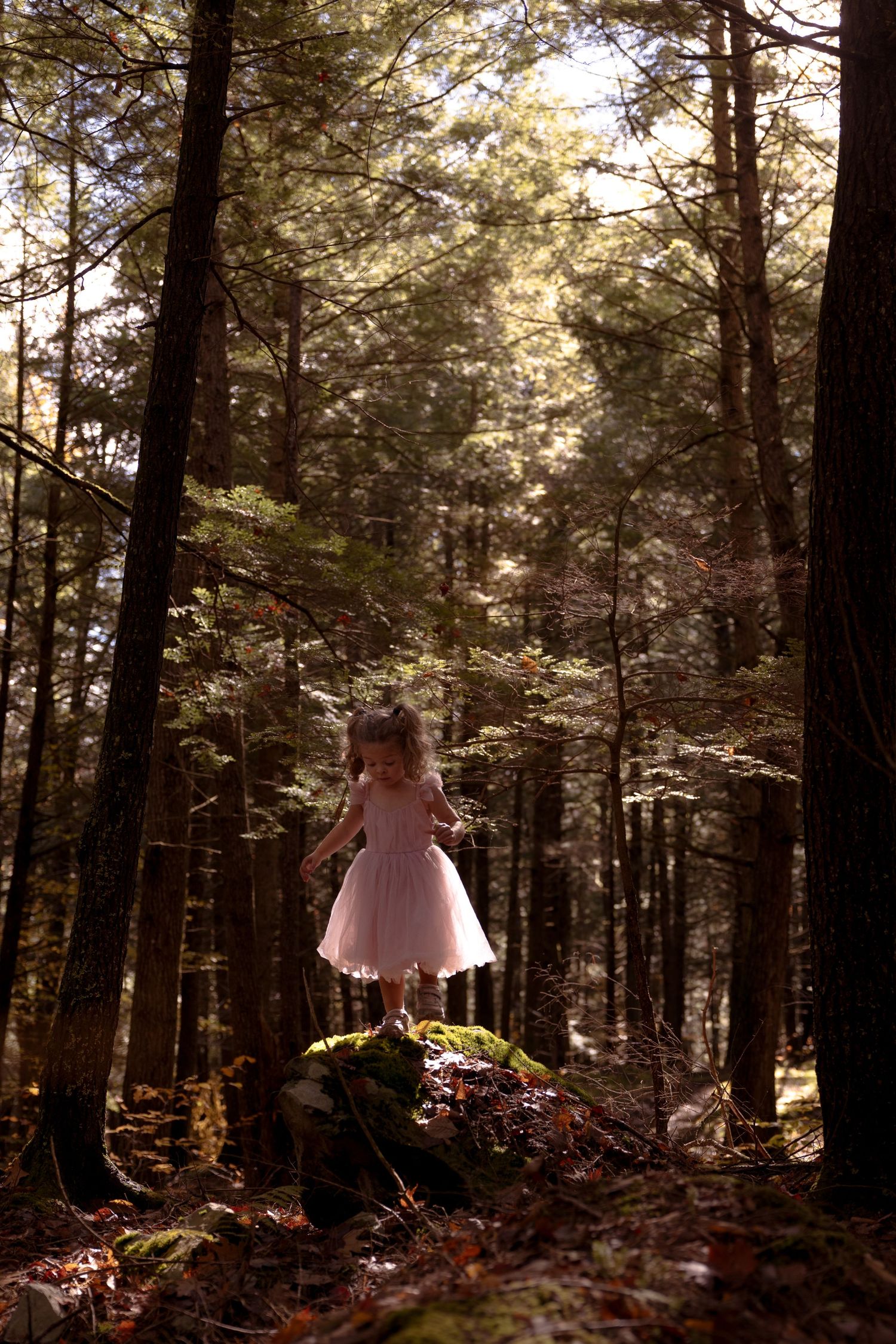 A figure in a pink tulle dress floats ethereally among tall pine trees in a mystical forest setting at sunset.