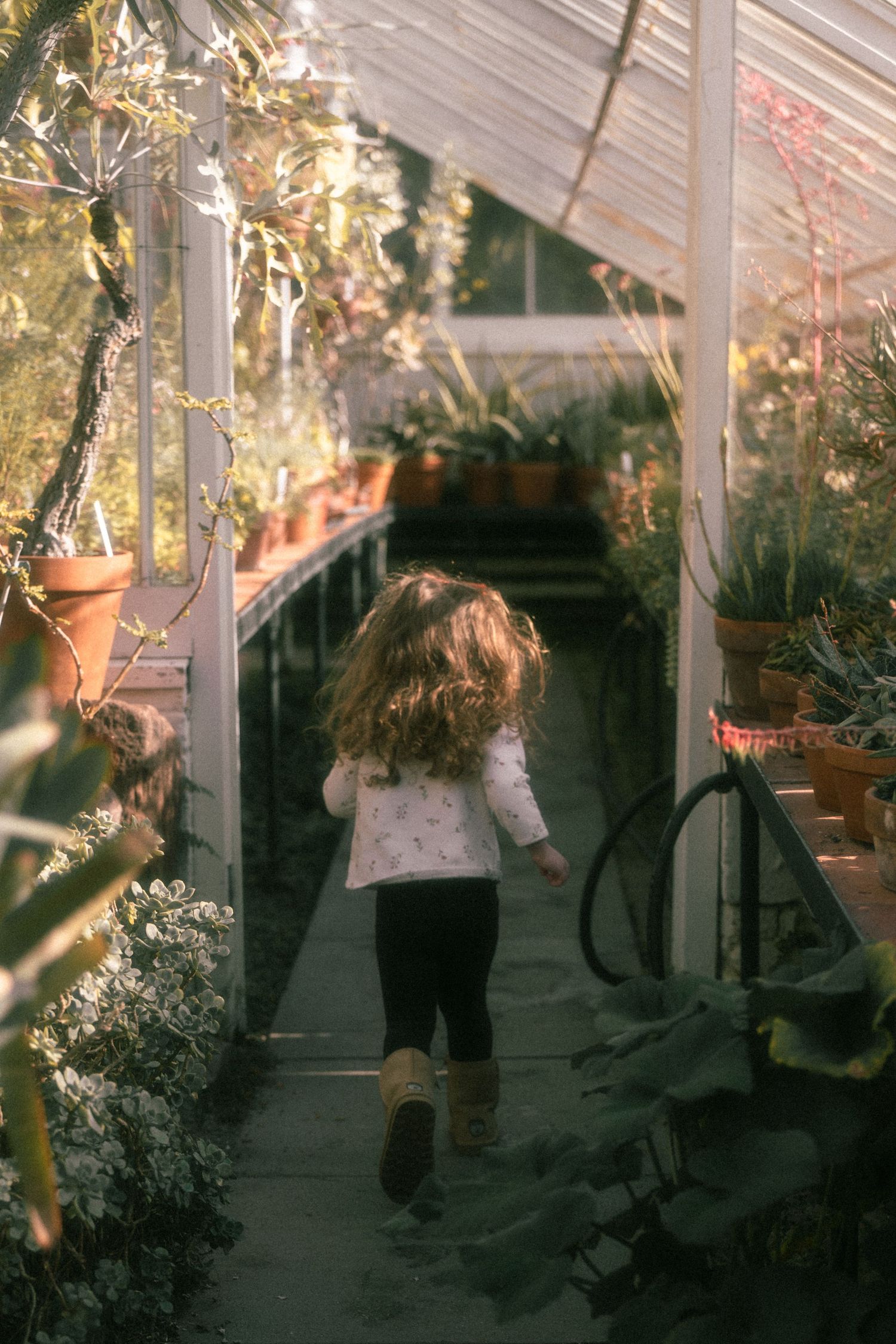 People dance in a sunlit greenhouse with potted plants and streaming golden light creating a dreamy atmosphere.