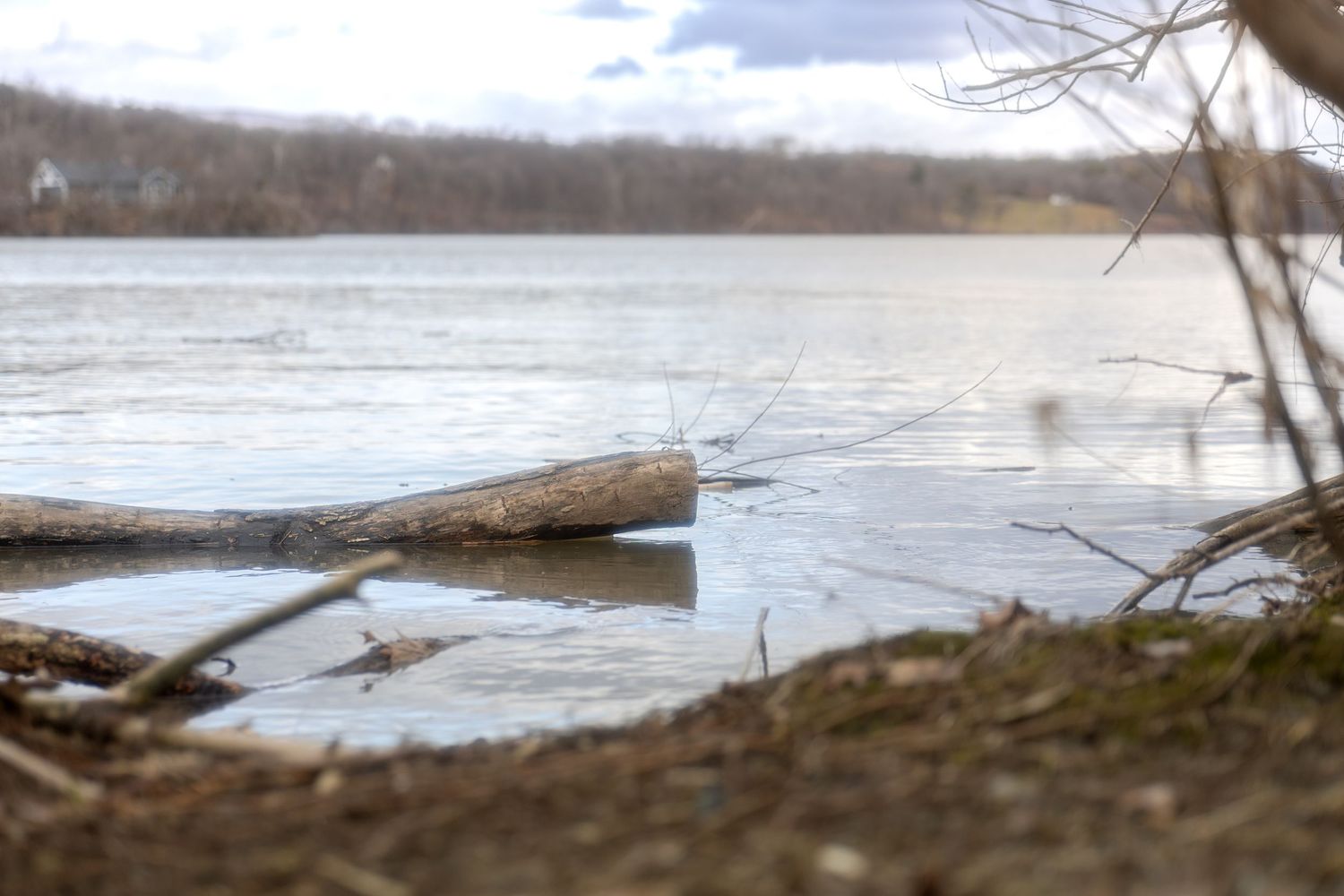 Panoramic winter landscape of a frozen lake with bare tree branches in the foreground against a cloudy gray sky.