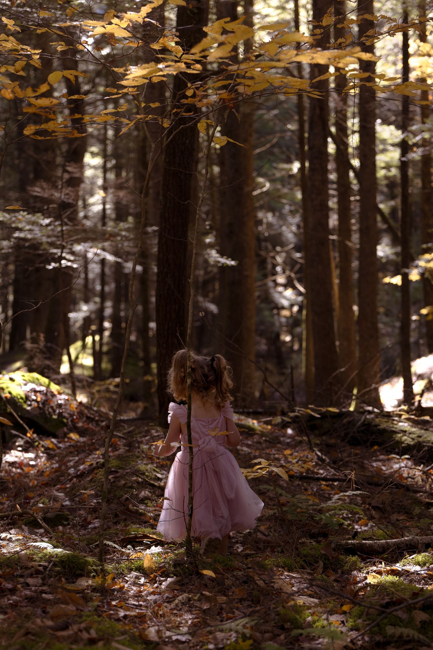 A figure in a pink dress walks through a sunlit forest with tall trees casting dramatic shadows on the forest floor.