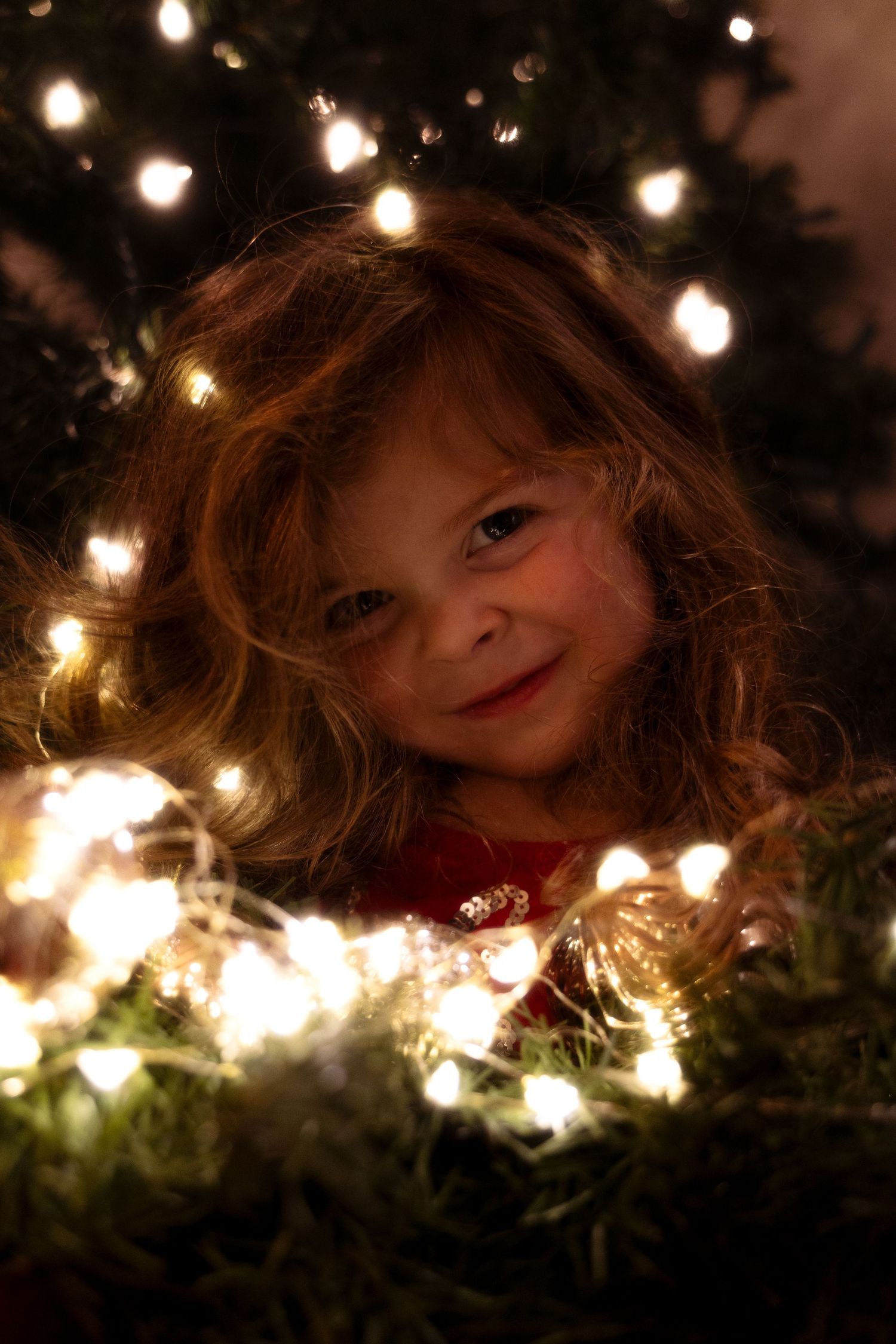 A series of dreamy photos showing a whimsical scene with twinkling lights and greenery in a magical forest setting.