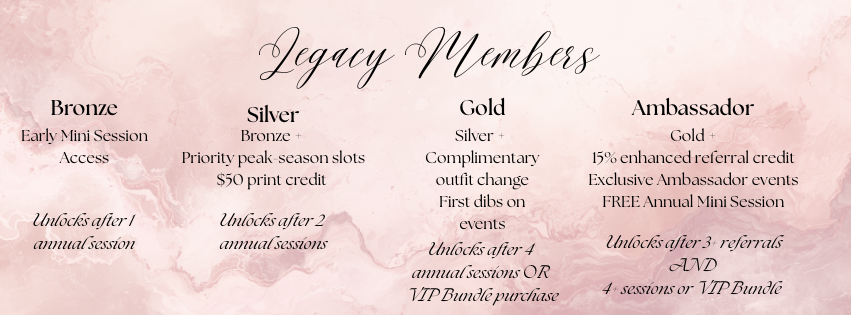 Pink and gold membership tier levels banner showing Bronze, Silver, Gold and Ambassador status categories.