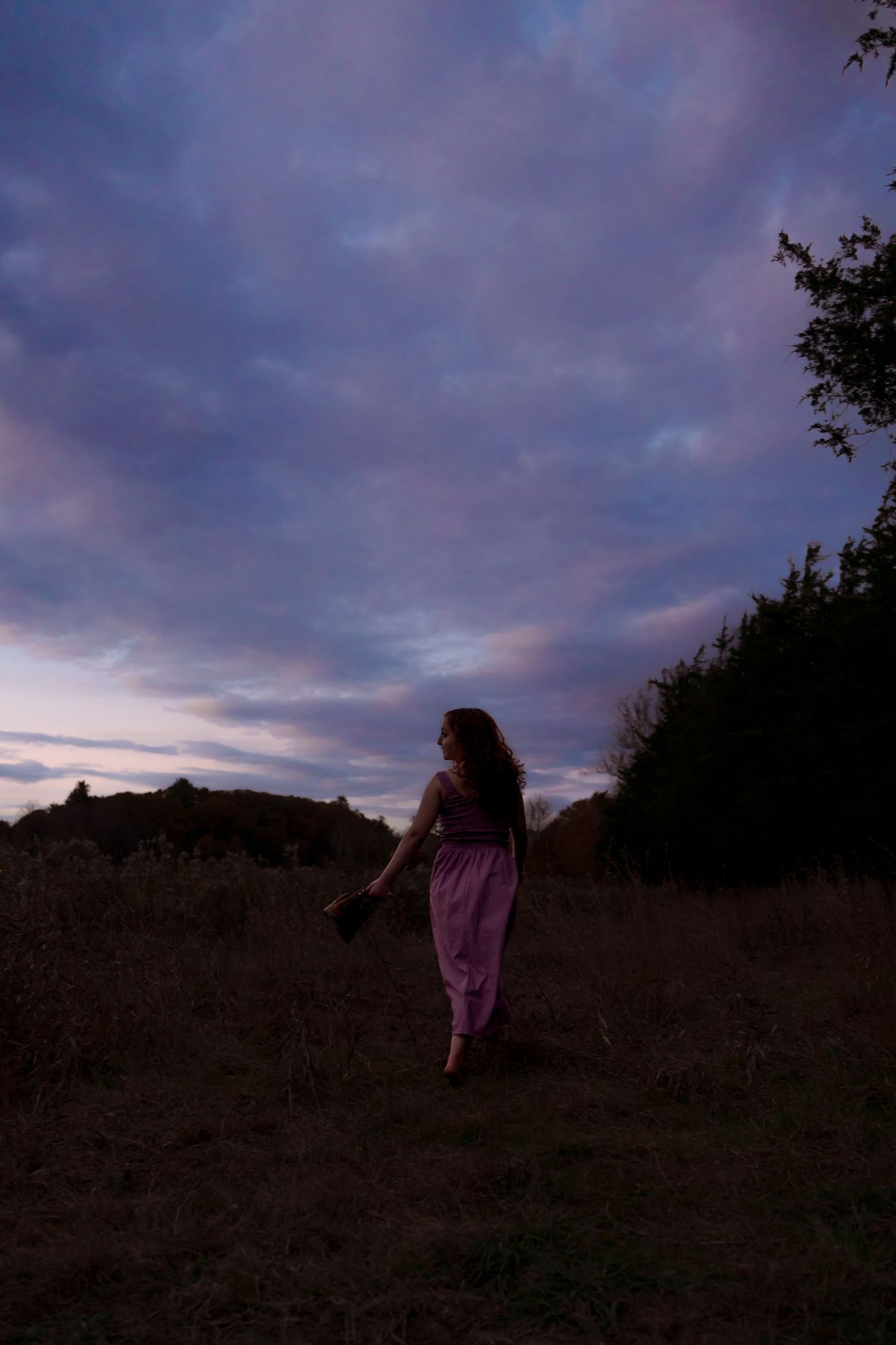 A figure in a pink dress stands silhouetted against a dramatic purple sunset sky on a hilltop.