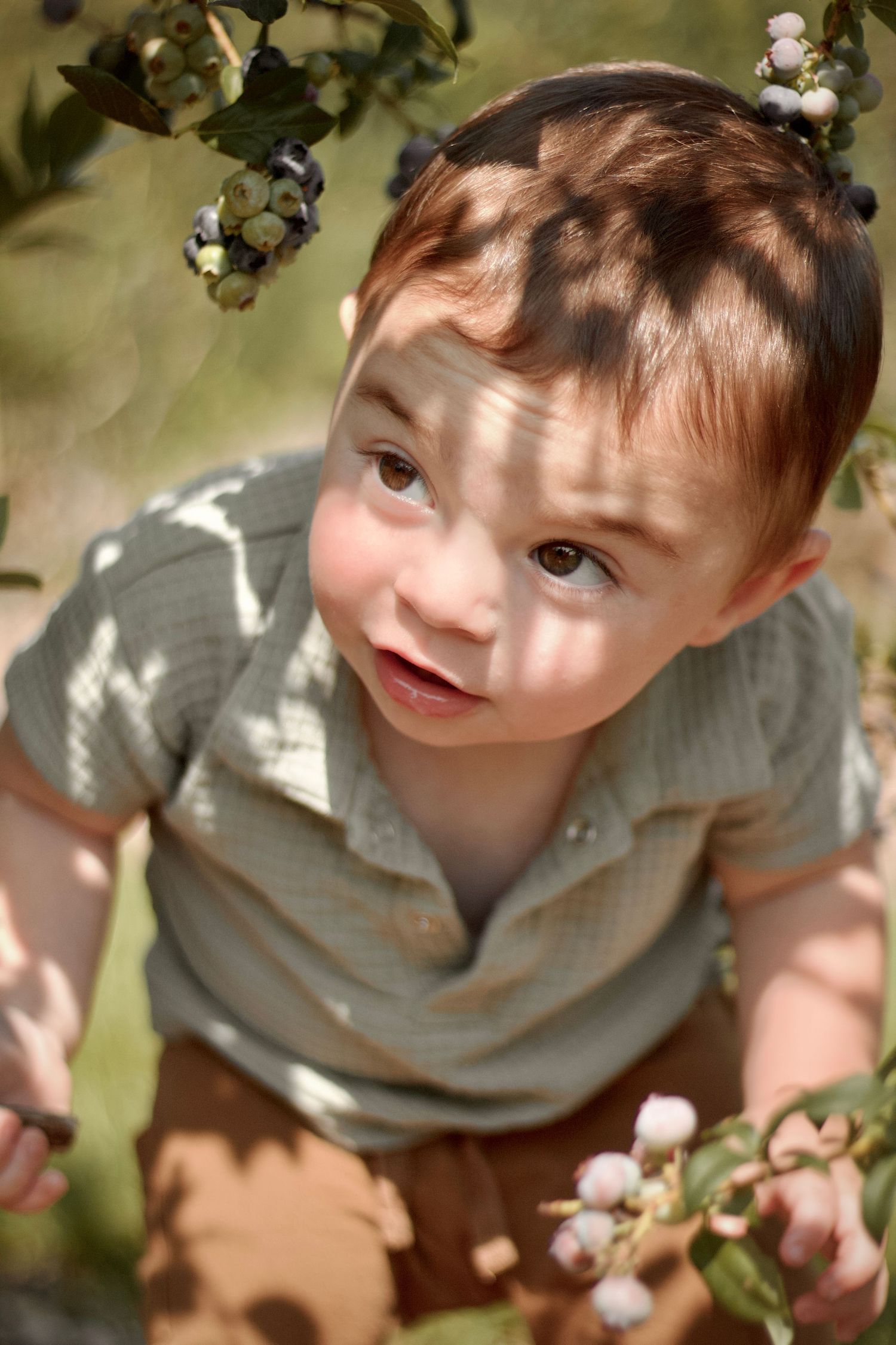 Looking upward through flowers and dappled sunlight, wearing a grey shirt and smiling on a sunny day.