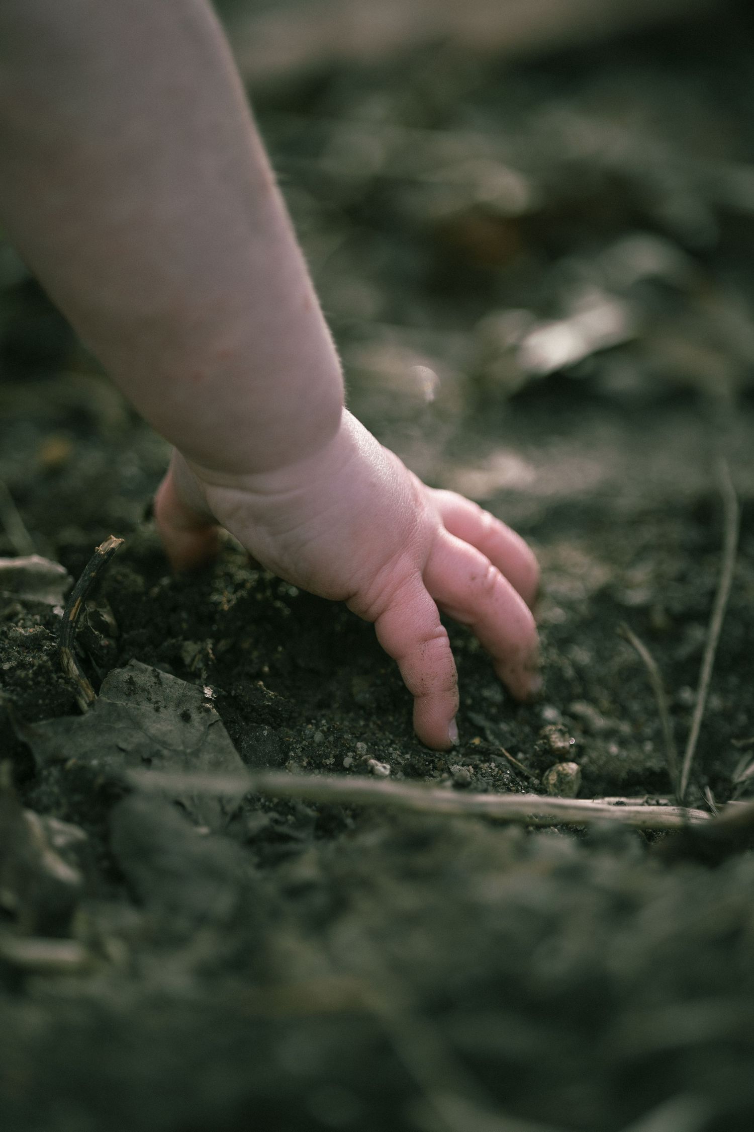 A small baby's hand reaches down to touch and explore dark soil in a close-up nature photograph.