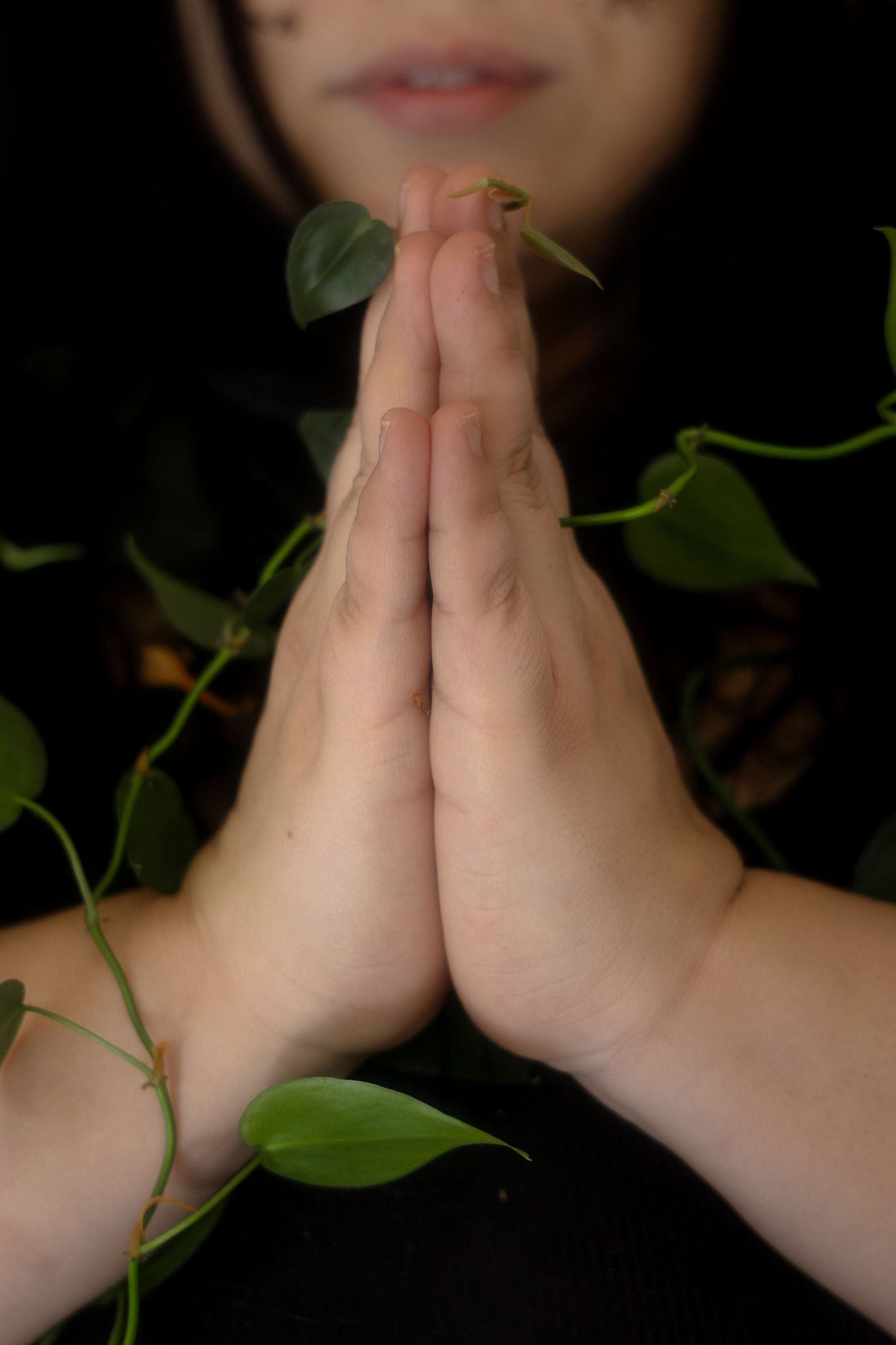 Hands pressed together in prayer or meditation pose against dark background with green plant leaves visible.