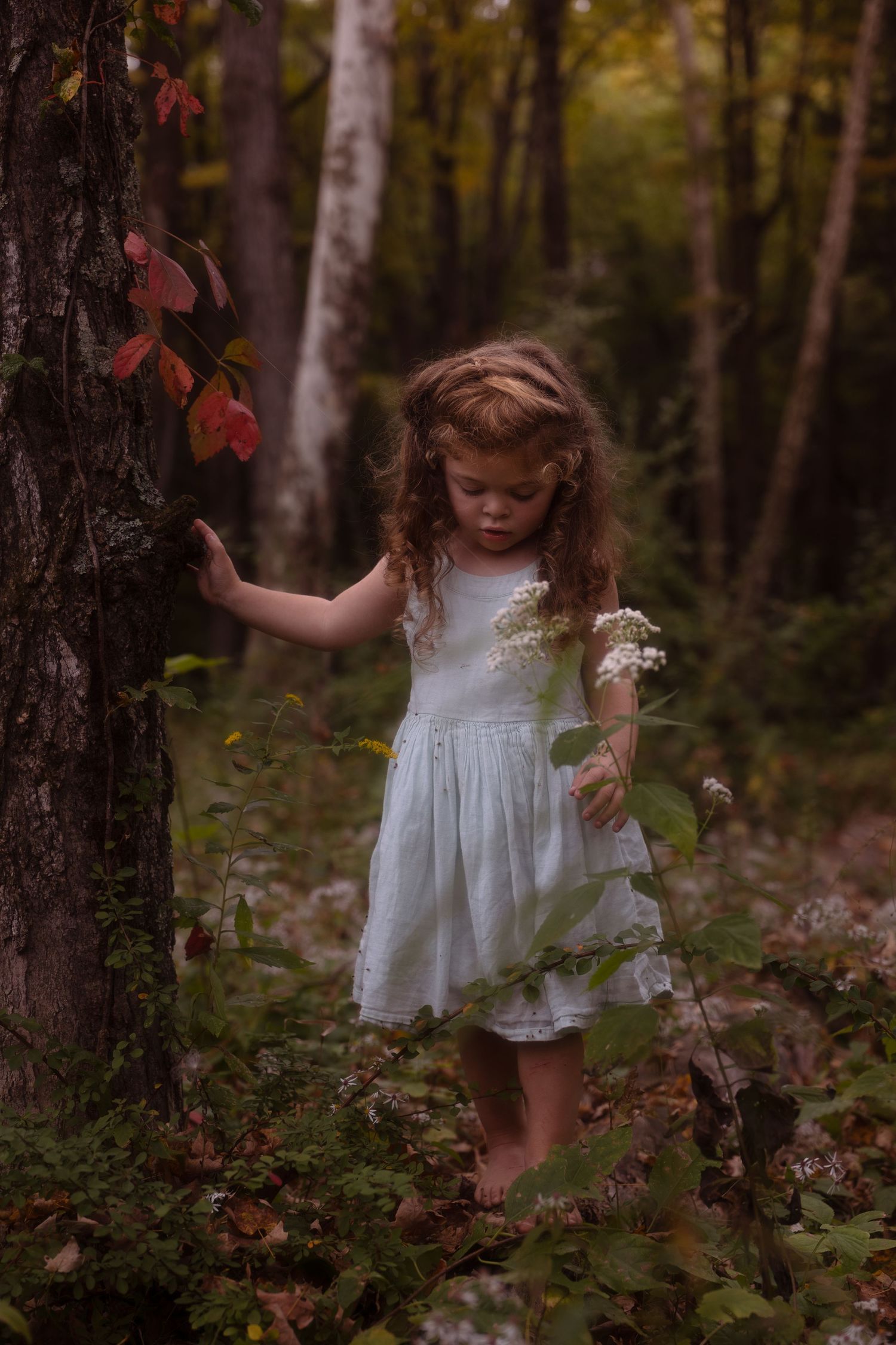 A small child in a white dress stands barefoot in an autumn forest holding wildflowers beside a tree.