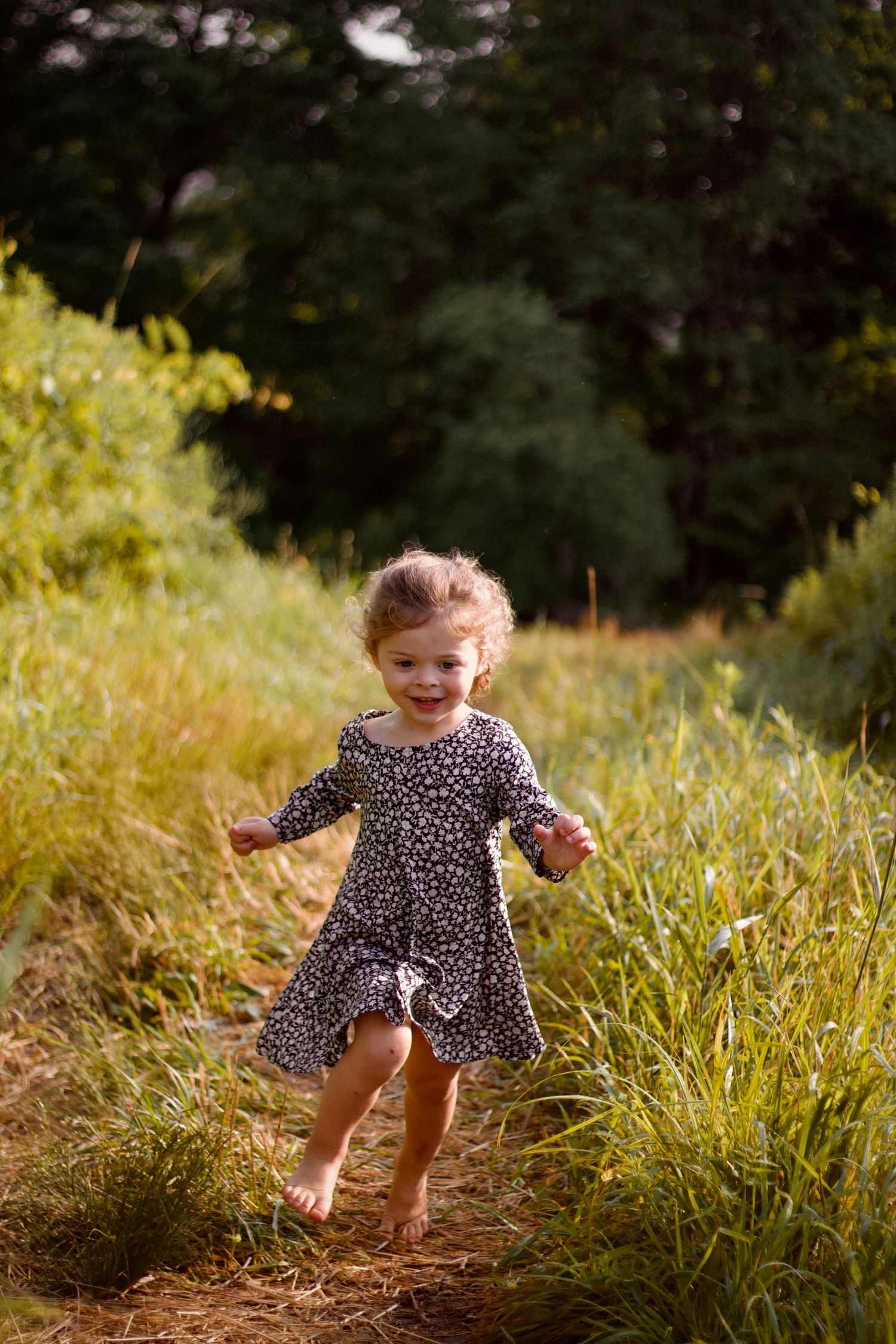 Local Westfield family photographer portrait of Joyful moment captured in tall grass on sunny afternoon.