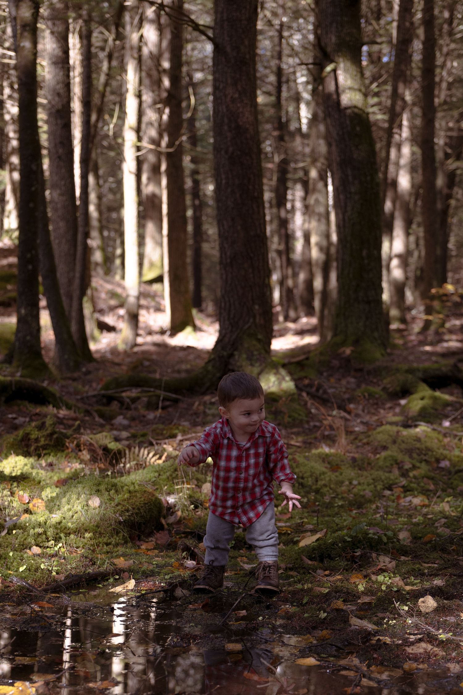 A person in a plaid shirt explores a mossy forest floor with scattered puddles and dappled sunlight through the trees.