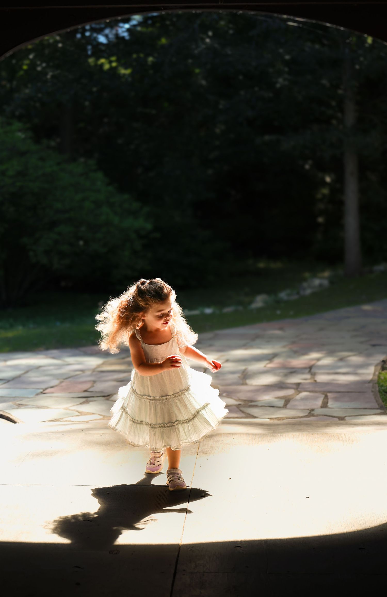 A dog wearing a ruffled cream-colored dress dances and twirls playfully in sunlight, casting a dramatic shadow.