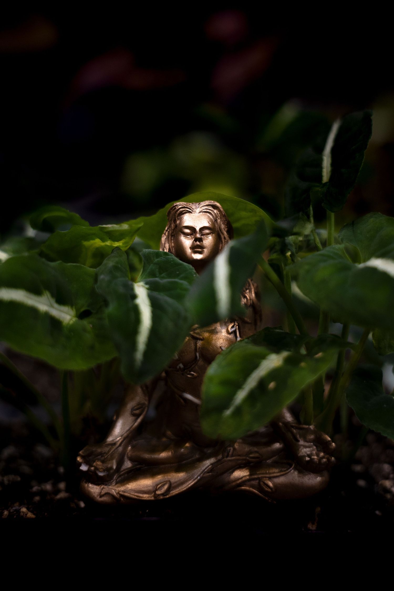 A small bronze figurine sits among green leaves in a dark garden setting with dramatic lighting.