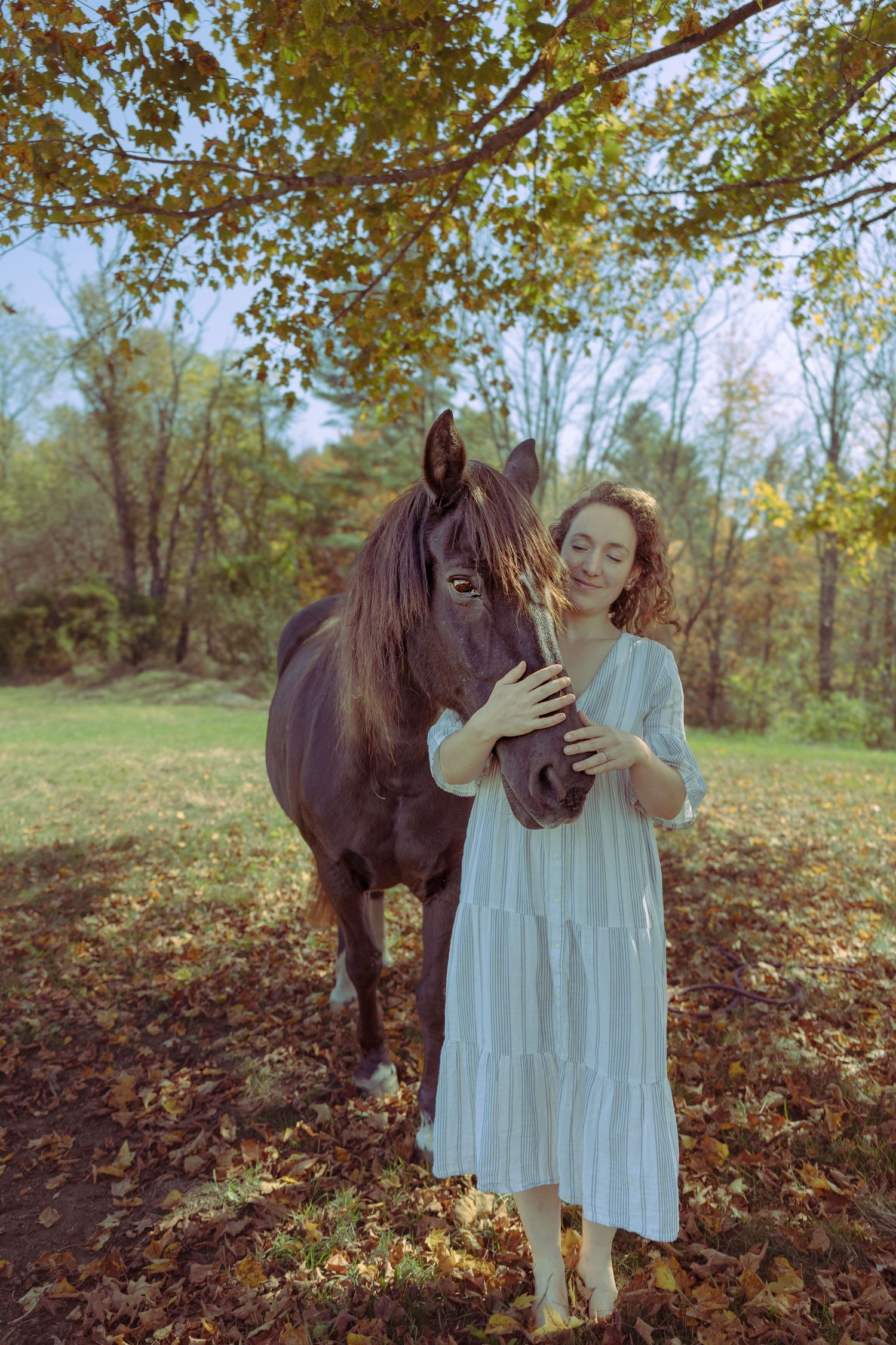 A dark brown horse and someone in a light blue dress share a tender moment in an autumn forest setting.