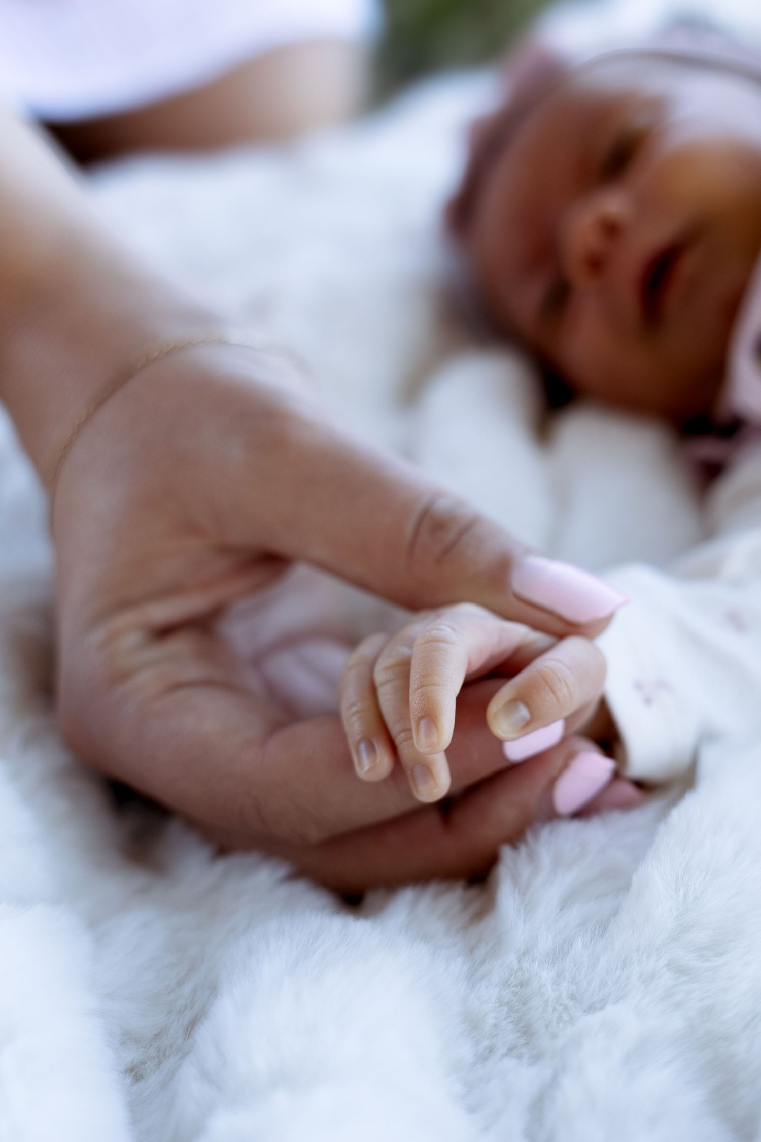 Delicate hands gently caressing soft white fur in a series of close-up photographs.