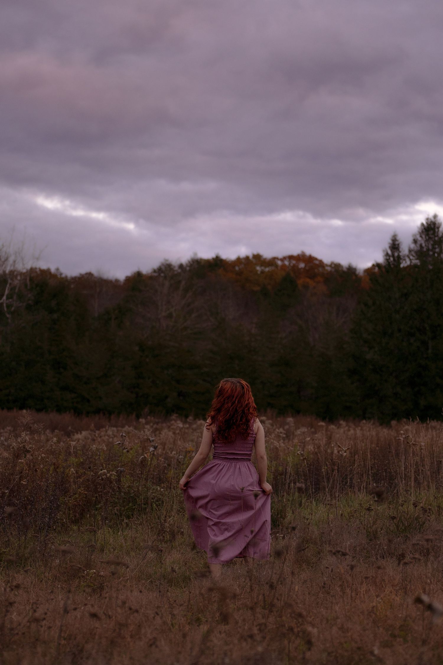A figure in a flowing burgundy dress stands in a moody autumn field beneath stormy gray skies.
