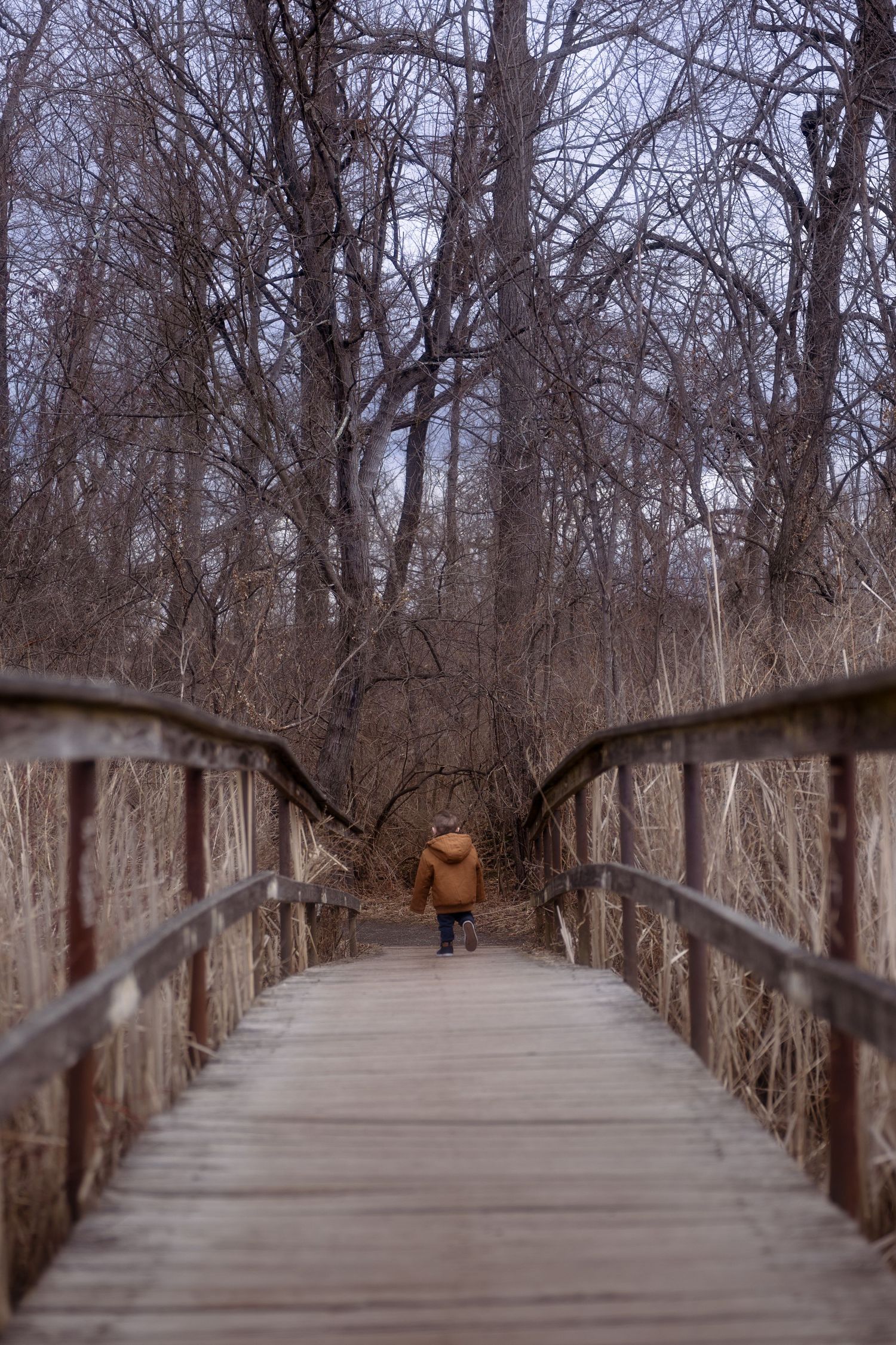 A person in a brown coat walks across a wooden footbridge surrounded by bare winter trees in a forest.