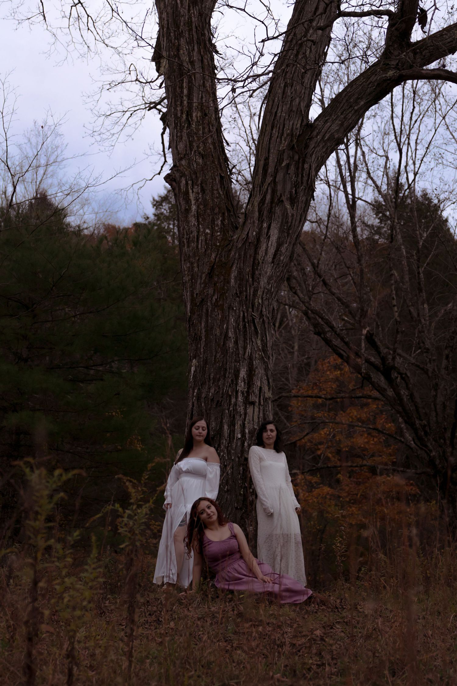 Three figures in white dresses stand among bare trees in an eerie autumn forest setting.
