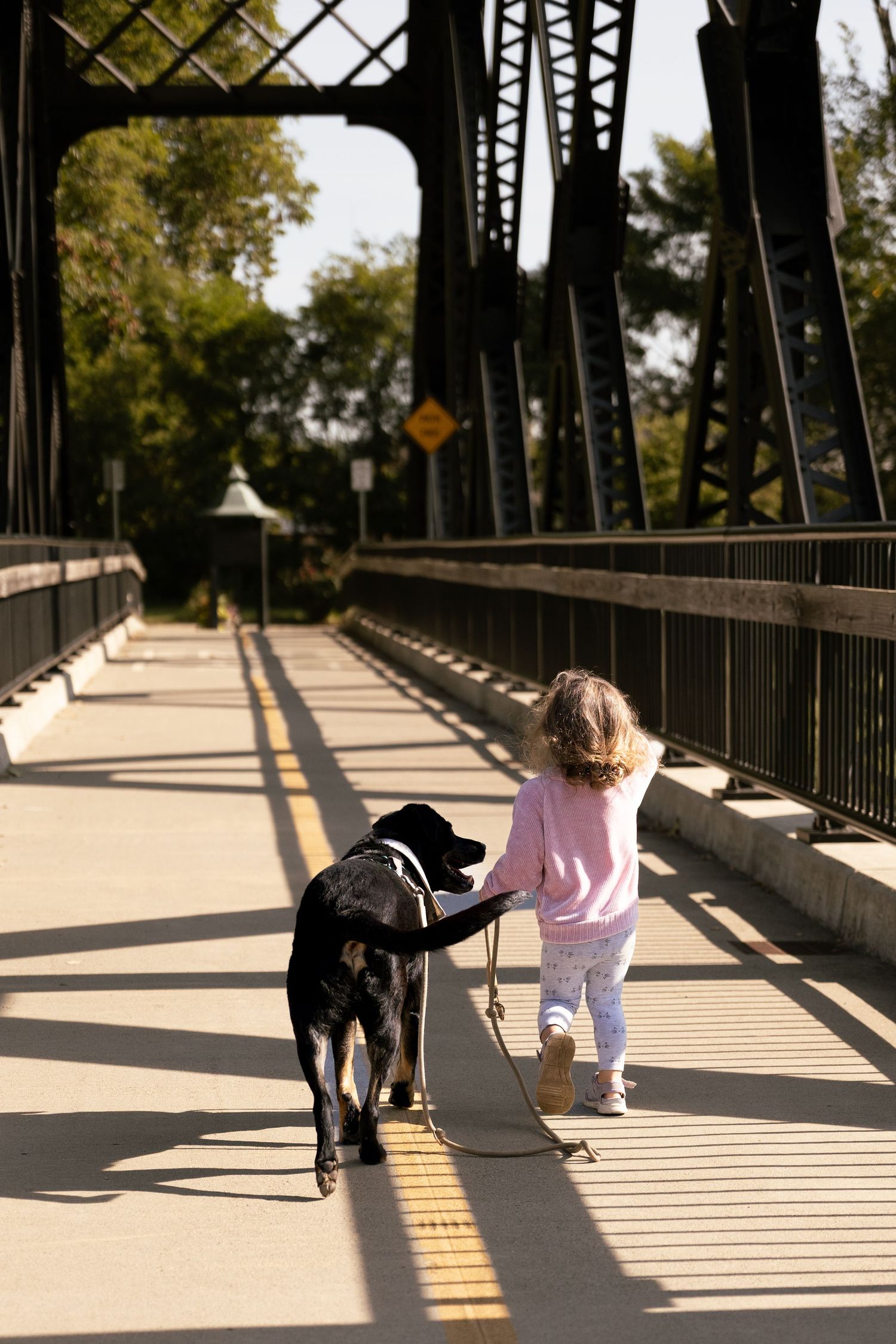 A small child in pink walks a large black dog across a sunlit metal bridge on an autumn day.