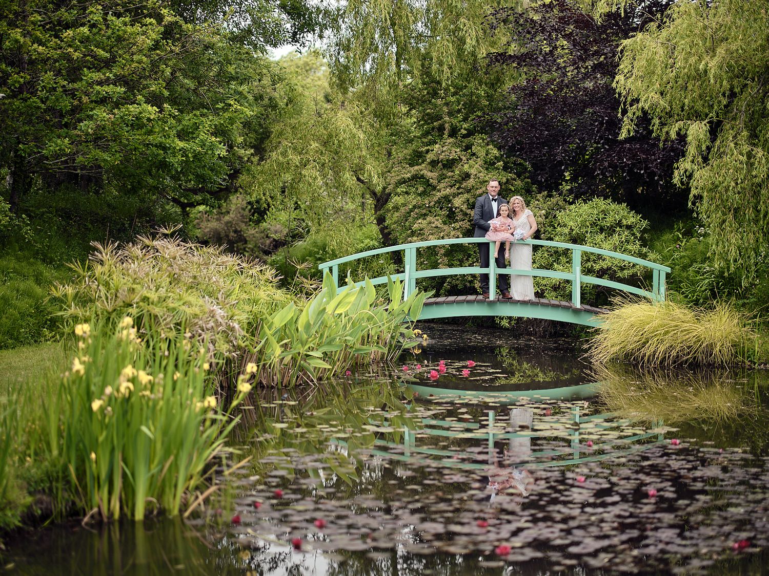 Scenic garden bridges span across tranquil lily ponds surrounded by lush greenery and willow trees at Bennetts Water Gardens.