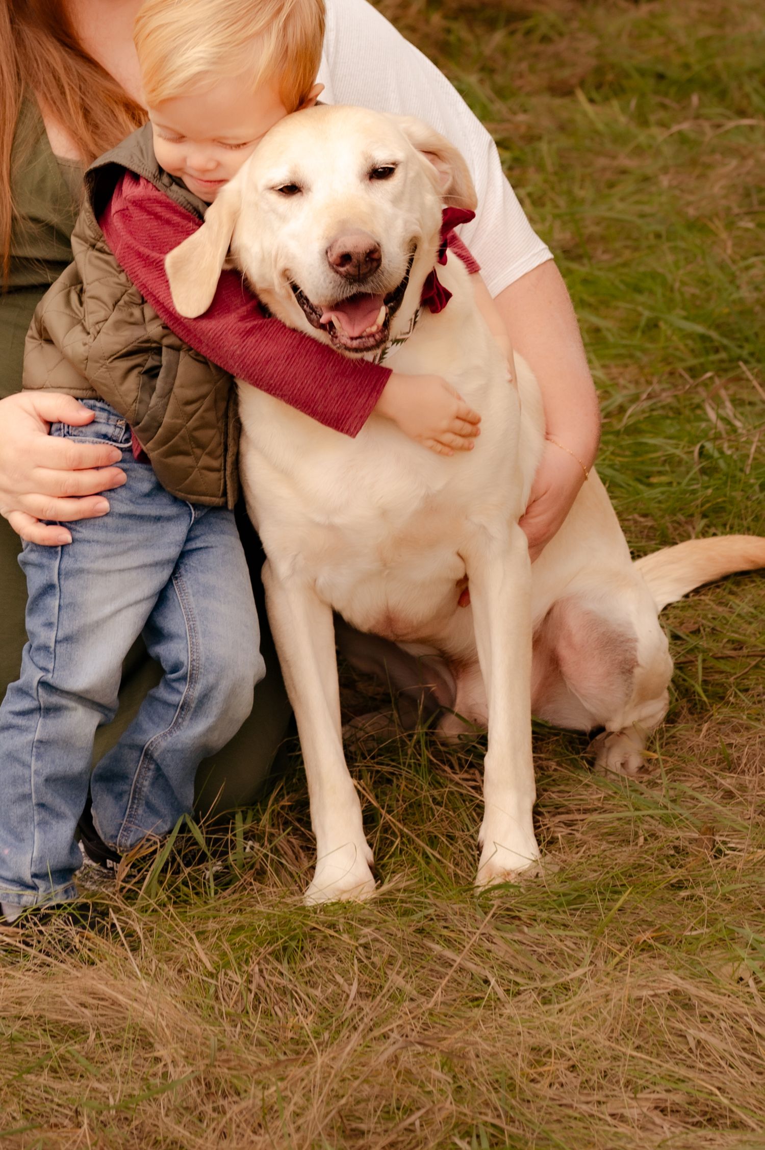 Yellow Labrador puppy sits on grass while being petted, showing a happy expression with tongue out.