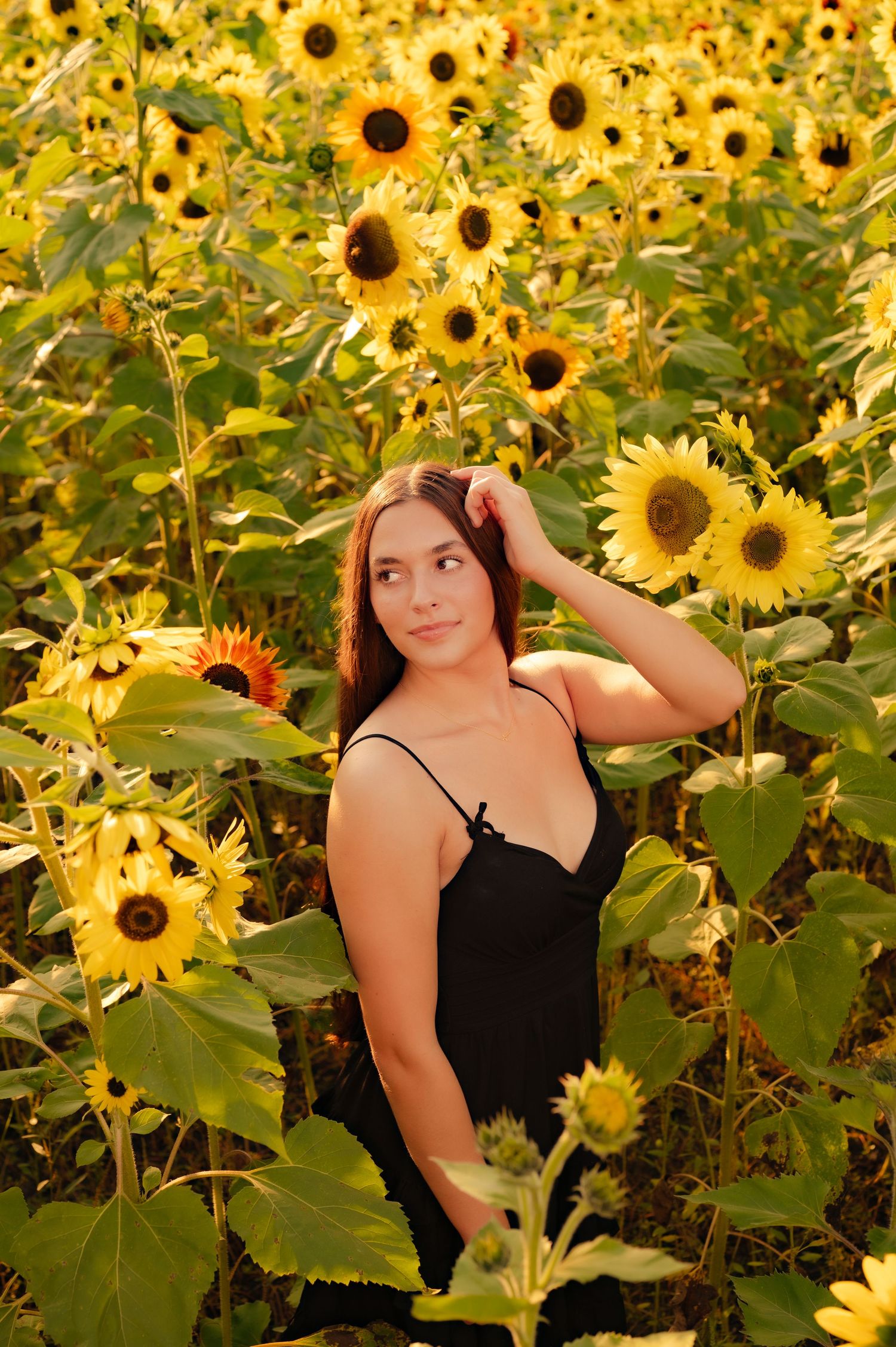 A vibrant sunflower field serves as a backdrop for outdoor portraits on a sunny summer day.