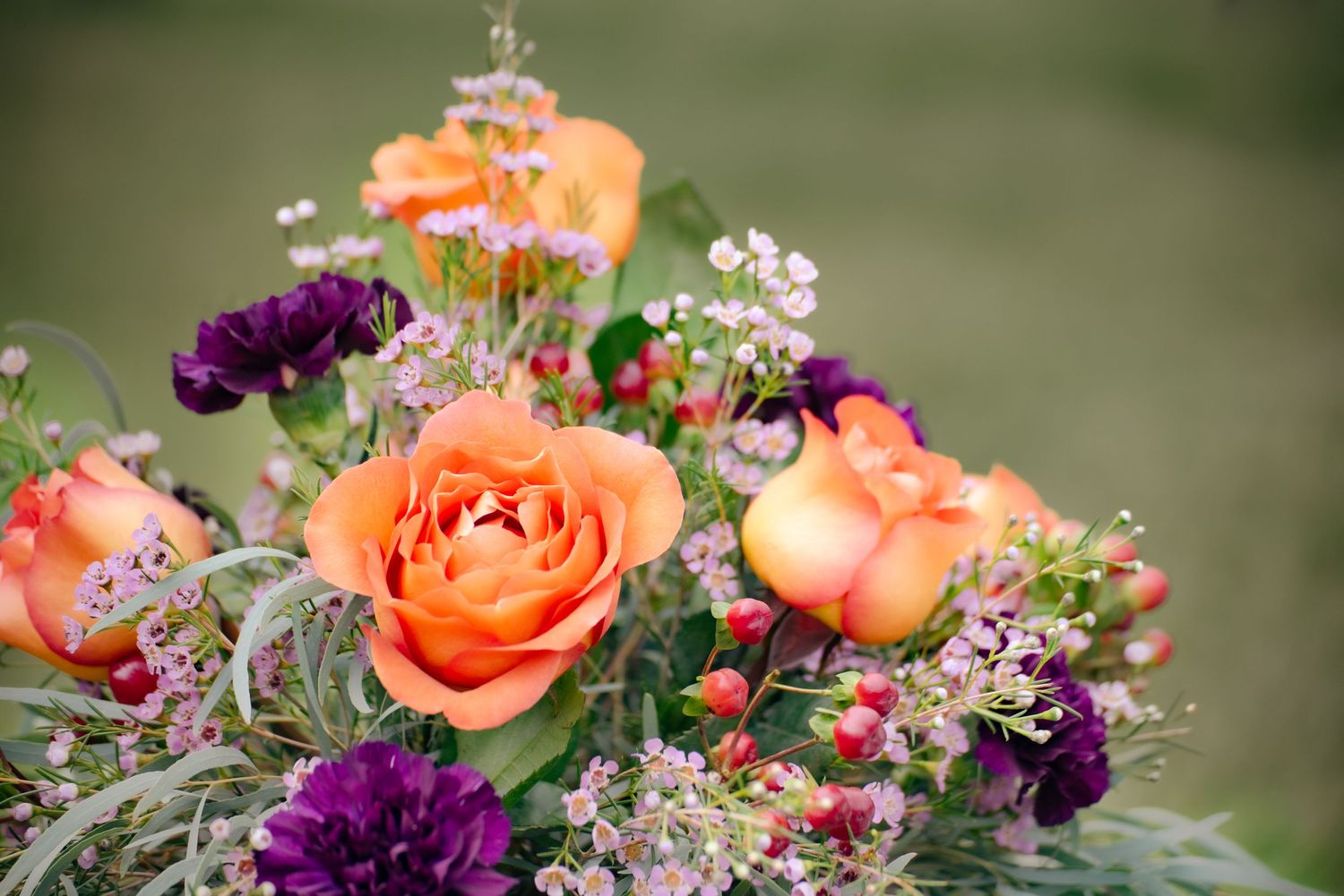 A vibrant floral arrangement featuring coral roses and purple carnations with delicate white baby's breath.