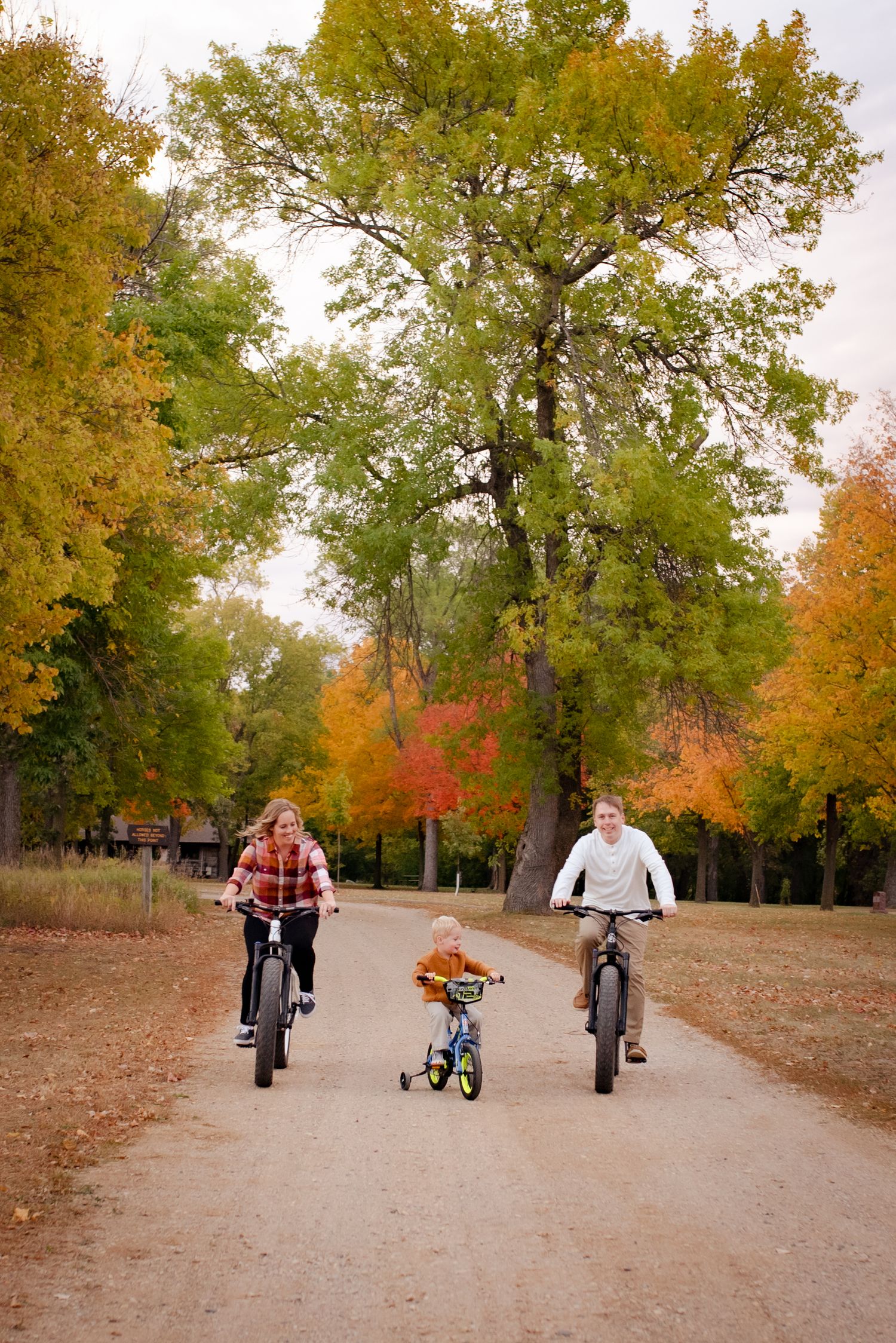 Three cyclists ride bikes along a path beneath tall autumn trees with golden leaves.
