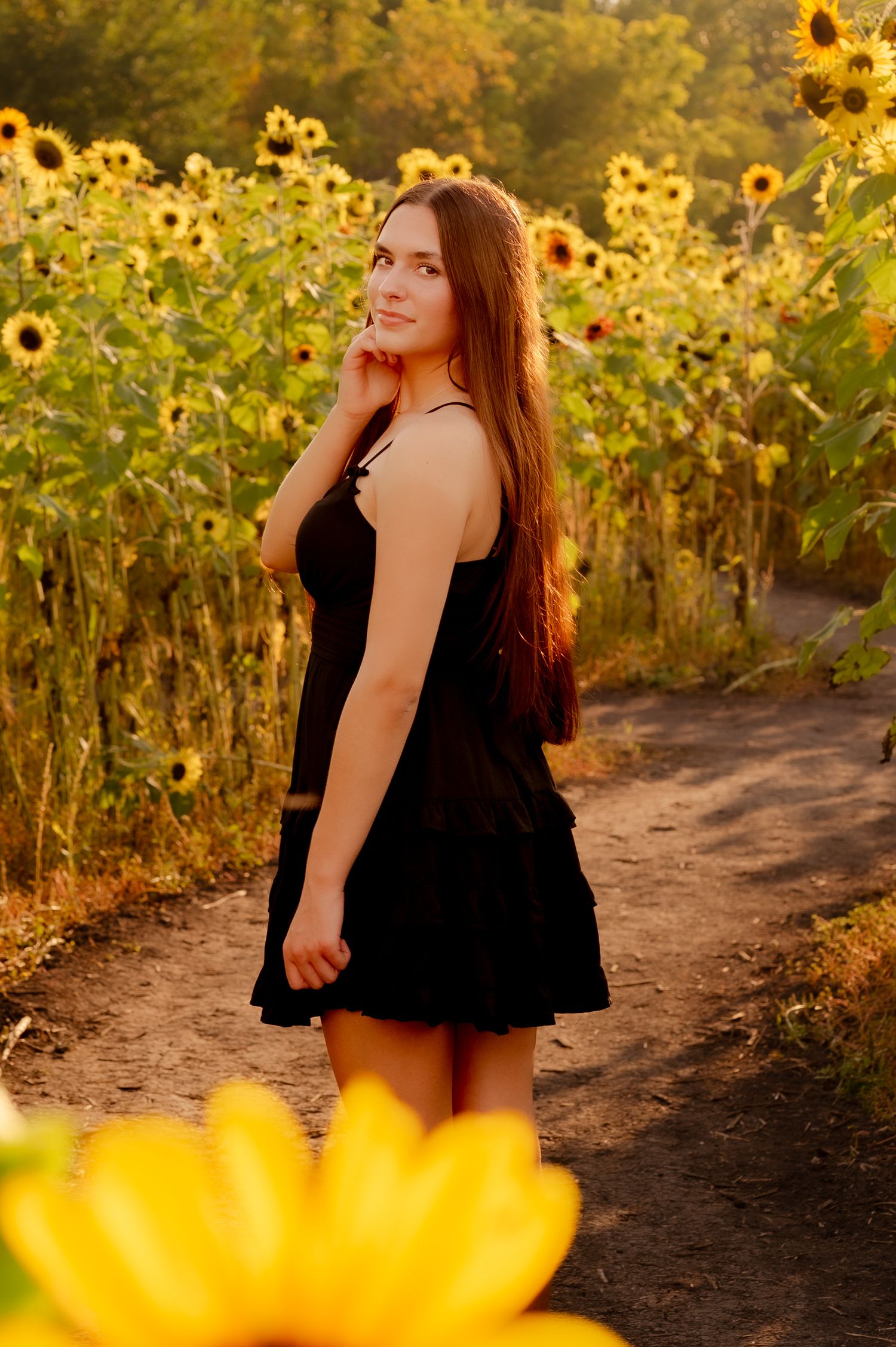 A dreamy sunset portrait in a field of golden sunflowers with a person in a black dress on a dirt path.