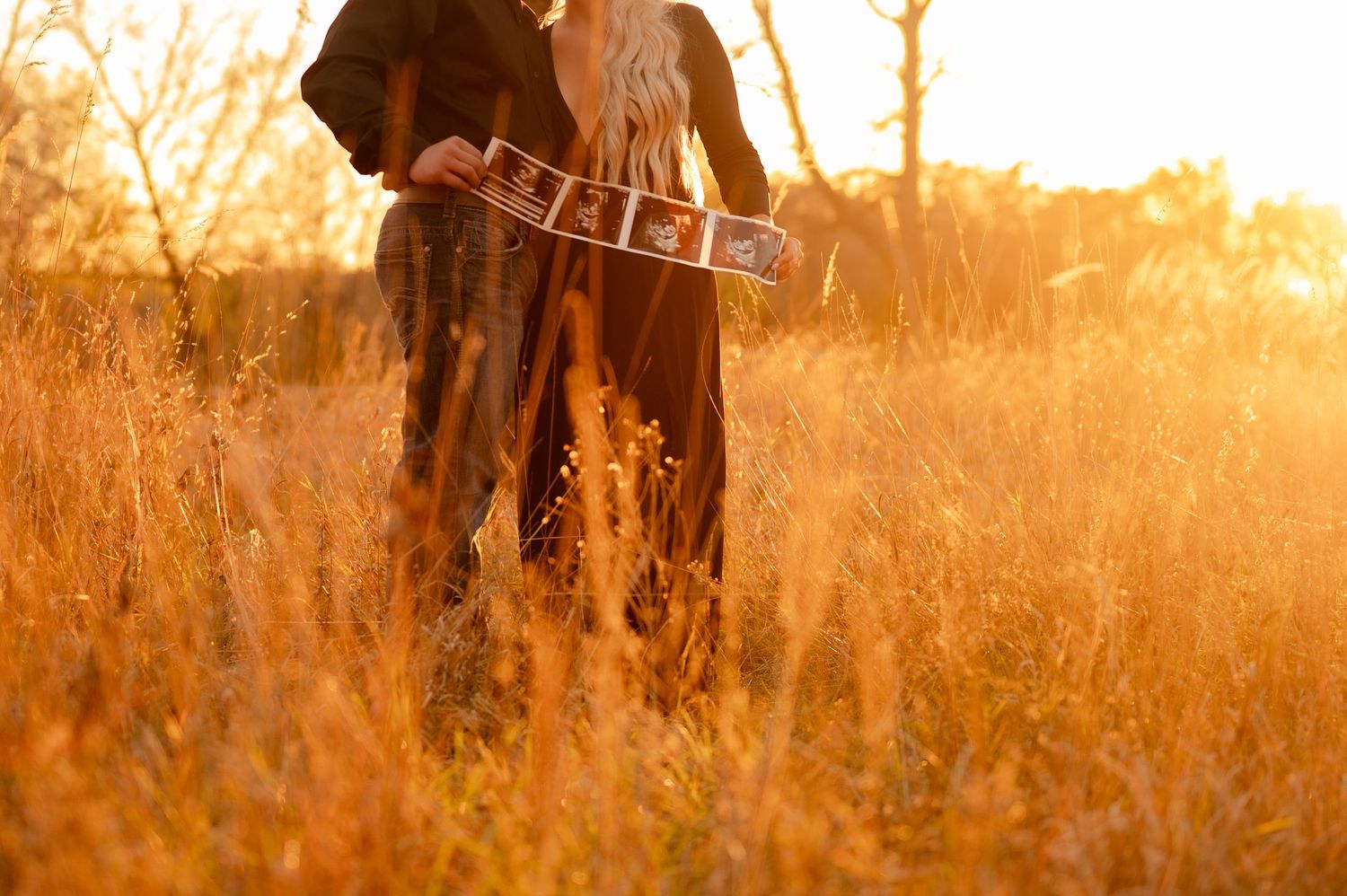 A golden sunset illuminates tall grass and trees in a tranquil autumn field.