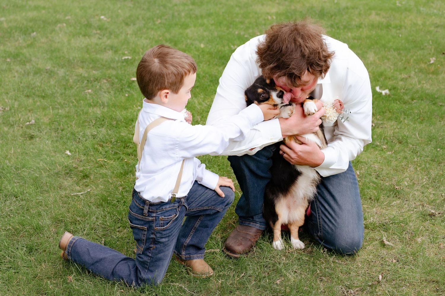Young child and adult playing with small dog on green grass.