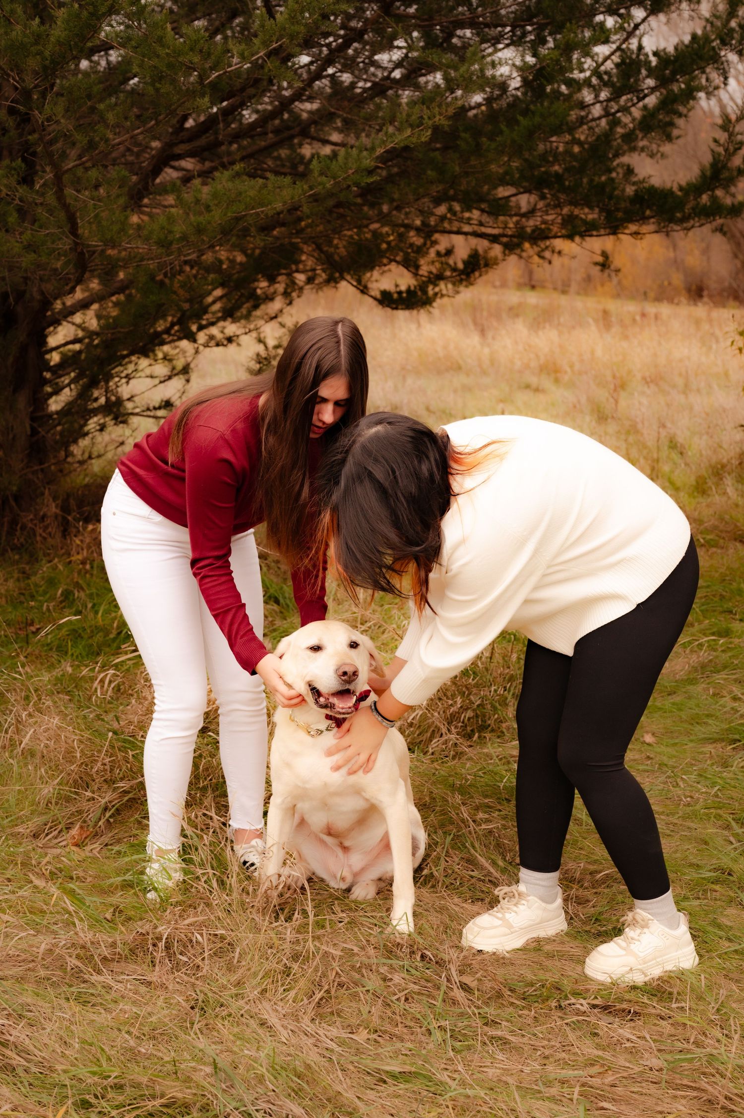 Two people in casual attire pet a happy yellow Labrador retriever dog in a grassy field on an autumn day.