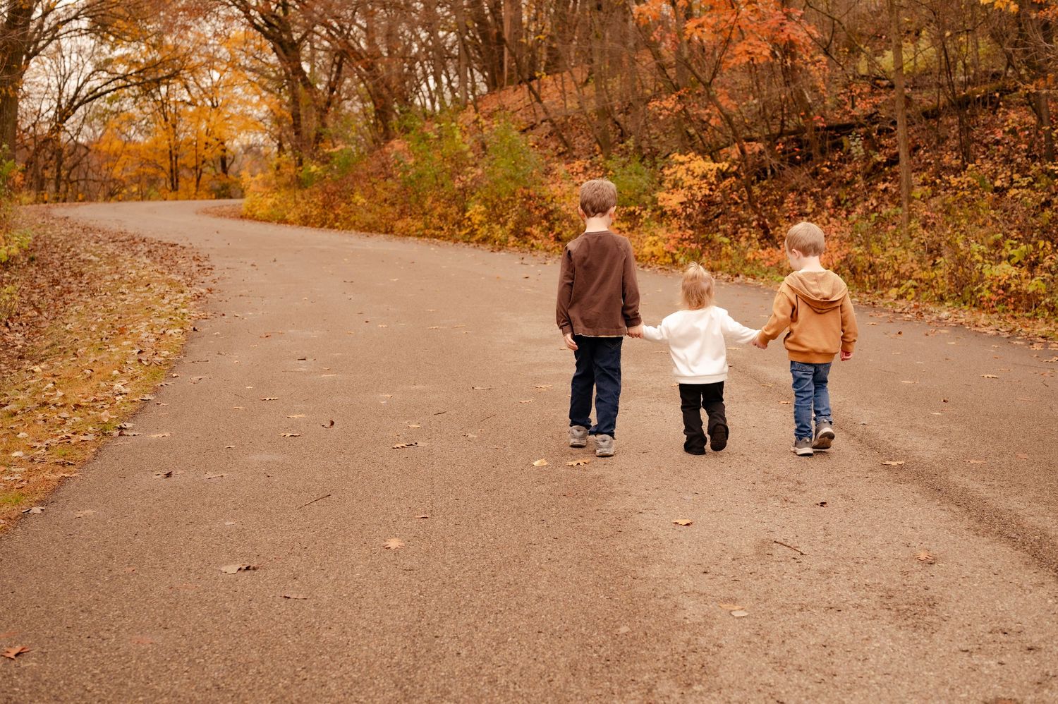 Three young children walk hand in hand down a winding autumn path surrounded by colorful fall foliage.