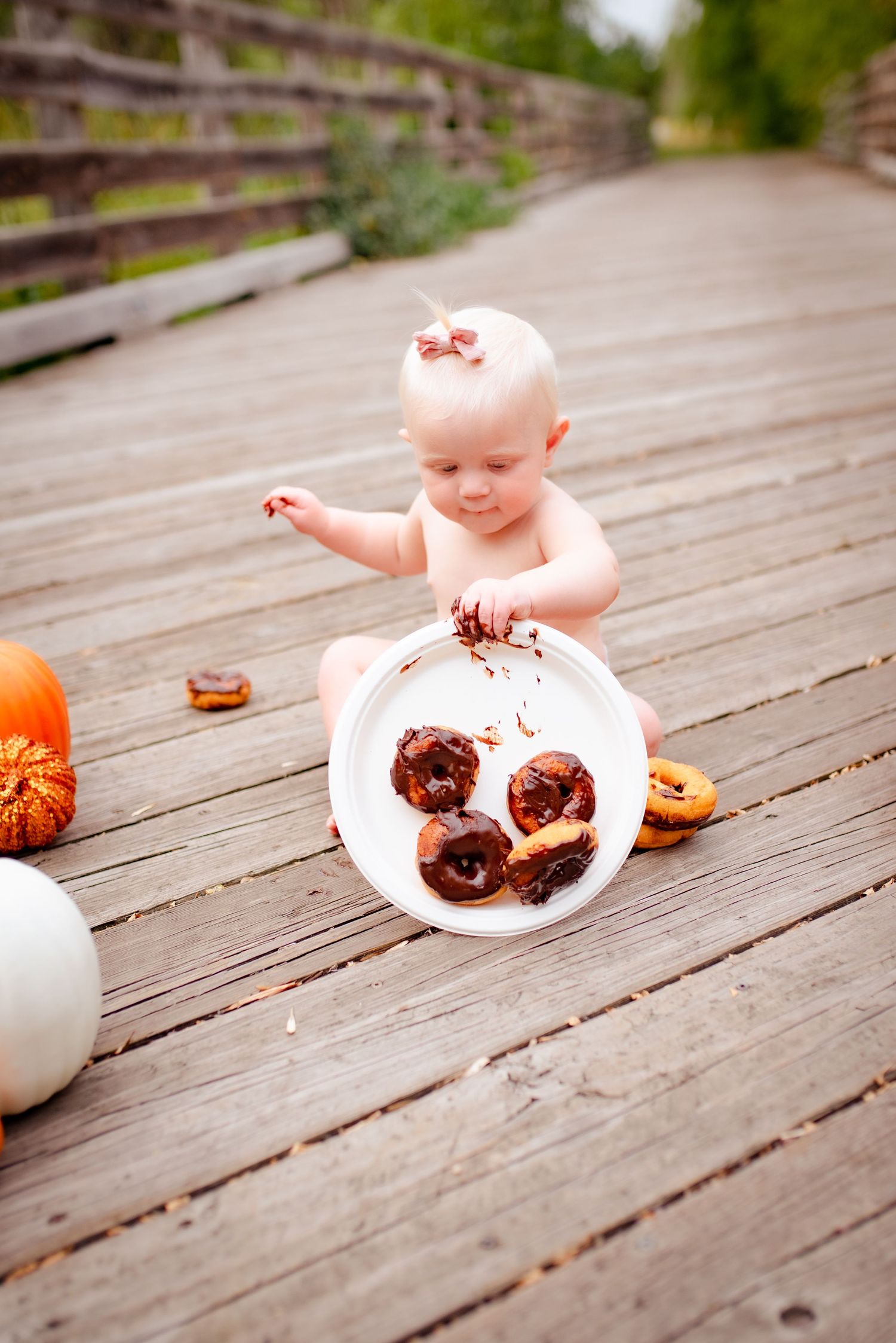 Baby explores white bucket with donuts on wooden deck surrounded by pumpkins.
