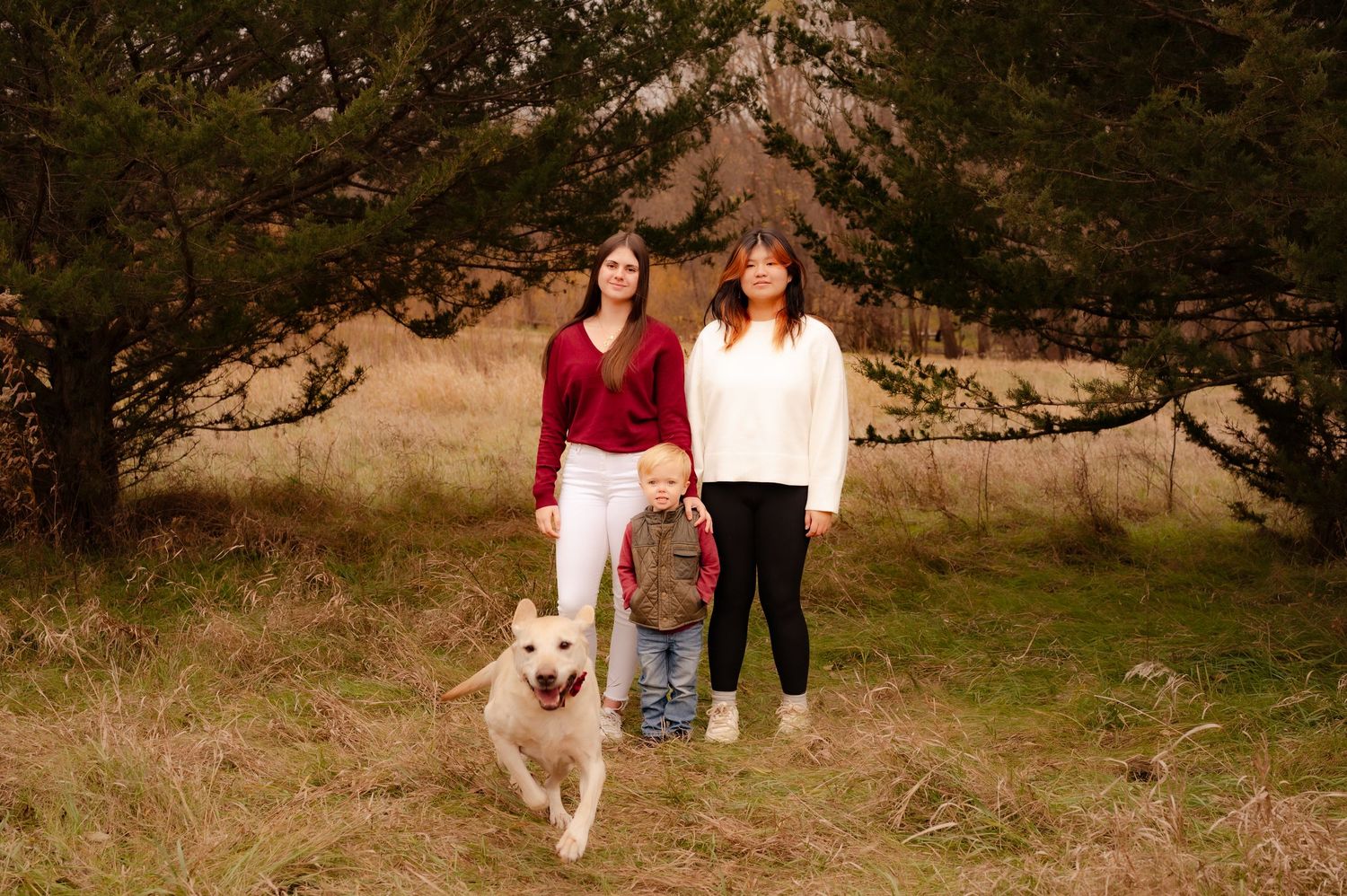 A sequence of outdoor photo session shots showing people walking with a fluffy white dog in a natural setting.